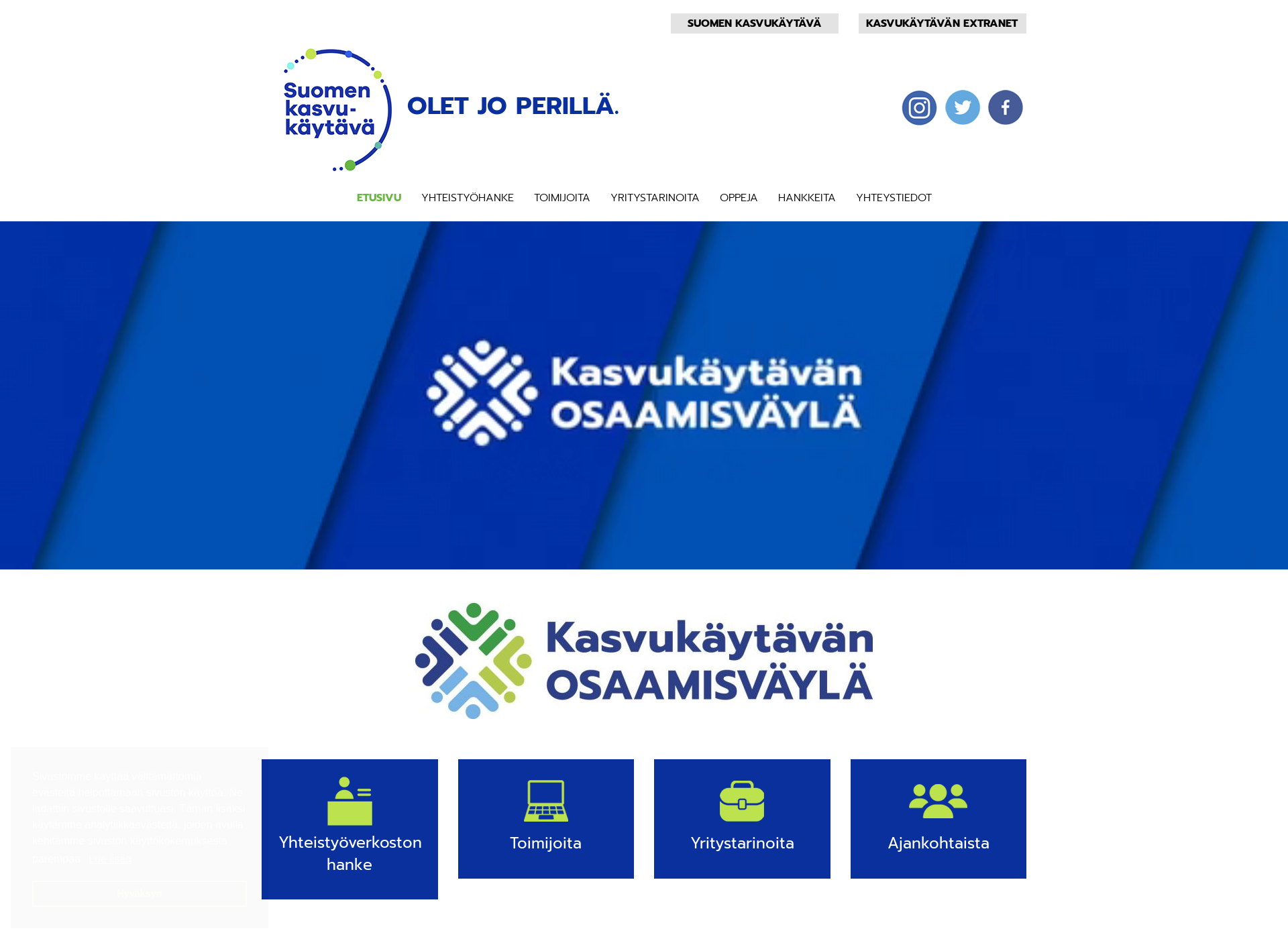Screenshot for skkvayla.fi
