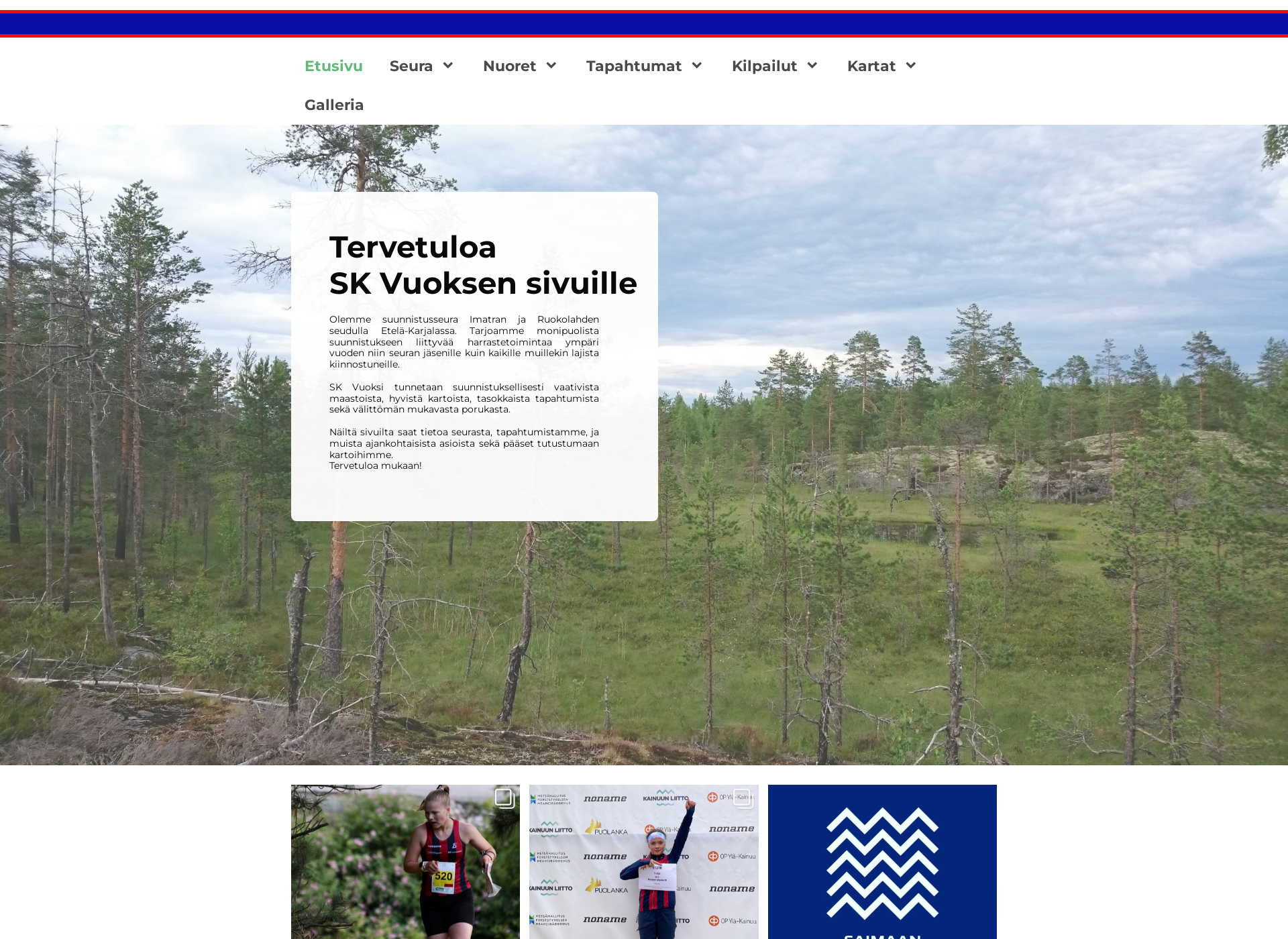 Screenshot for skvuoksi.fi