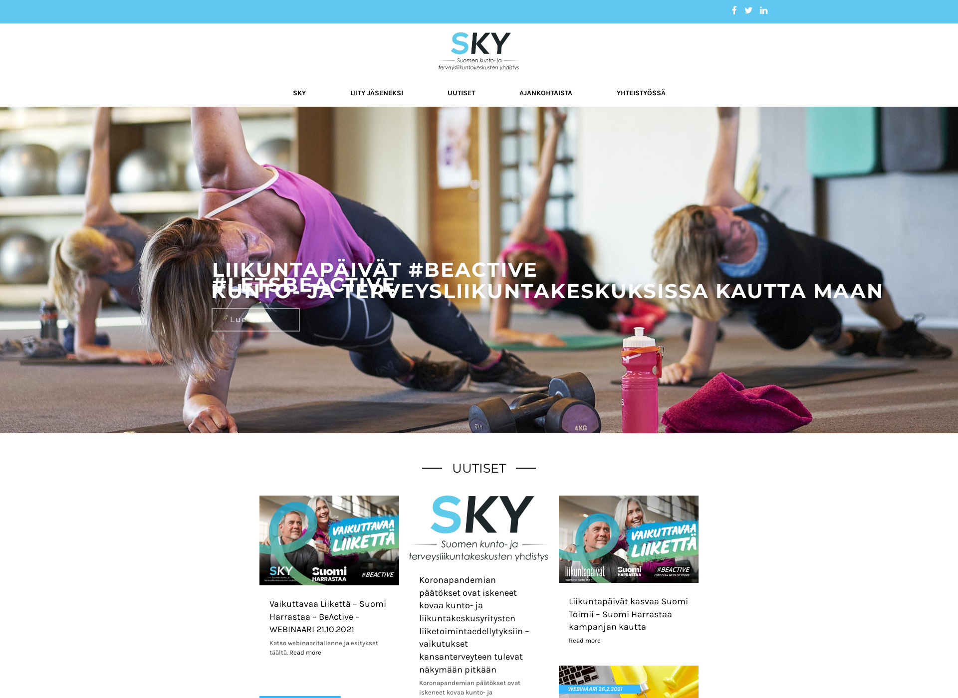 Screenshot for sky-ry.fi