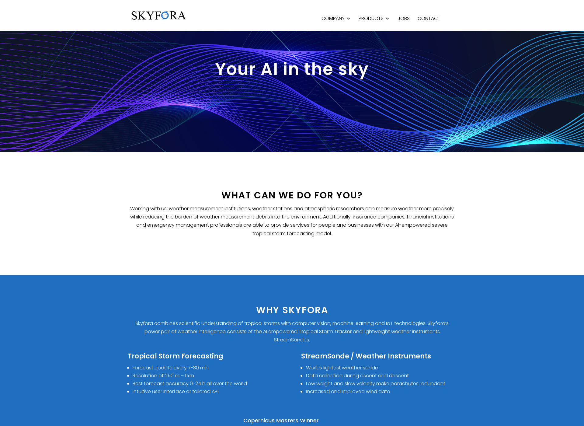 Screenshot for skyfora.com