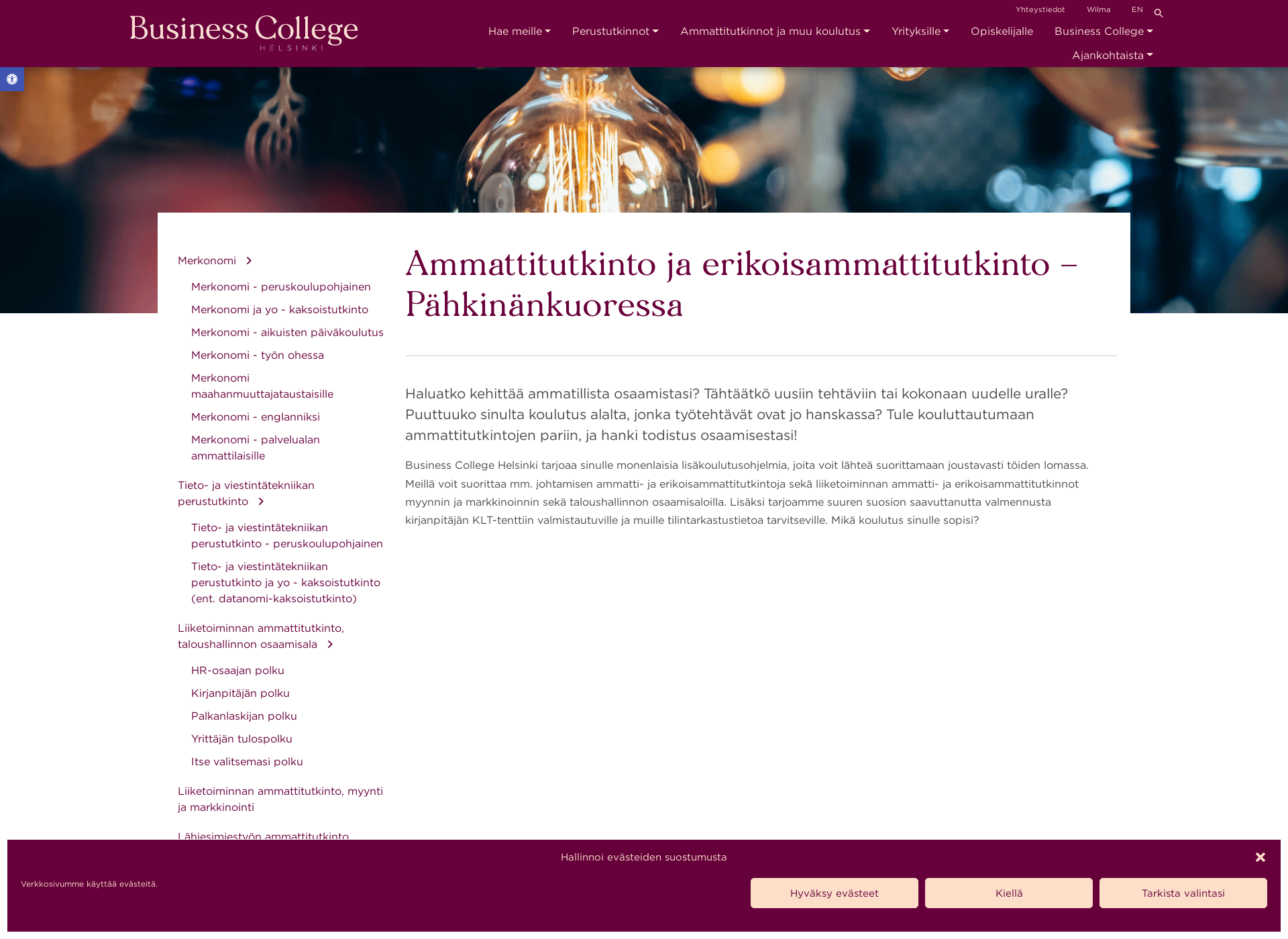 Skärmdump för slk-instituutti.fi