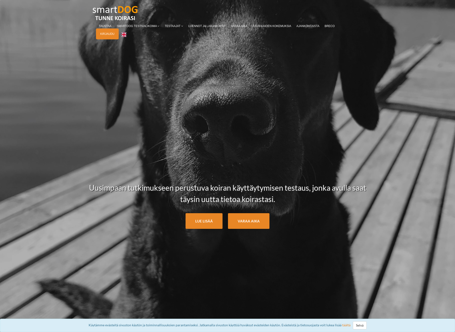 Skärmdump för smartdog.fi