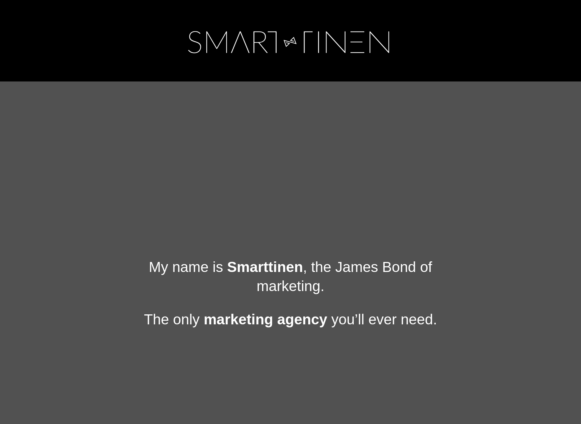Screenshot for smarttinen.fi