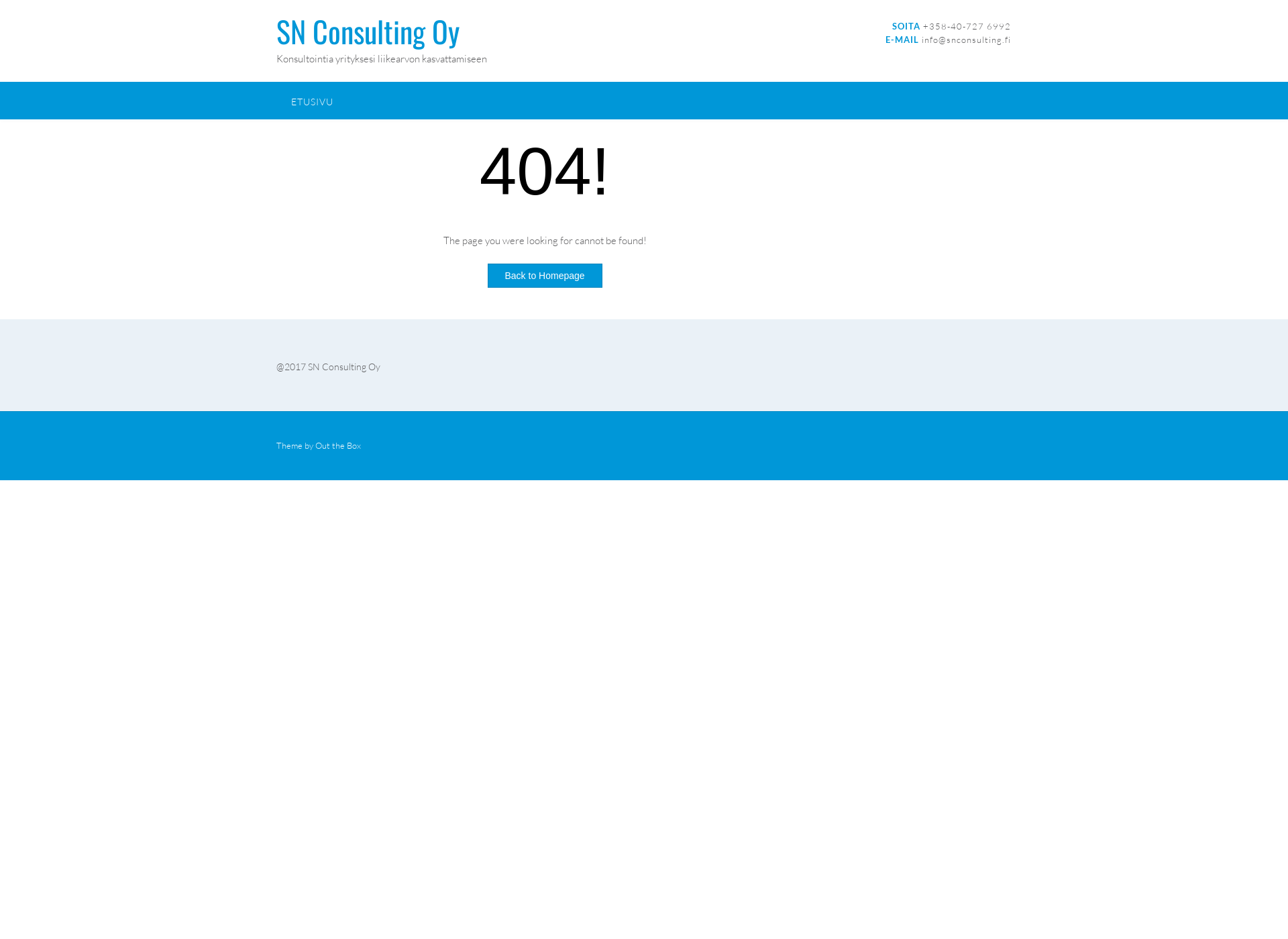 Screenshot for snconsulting.fi