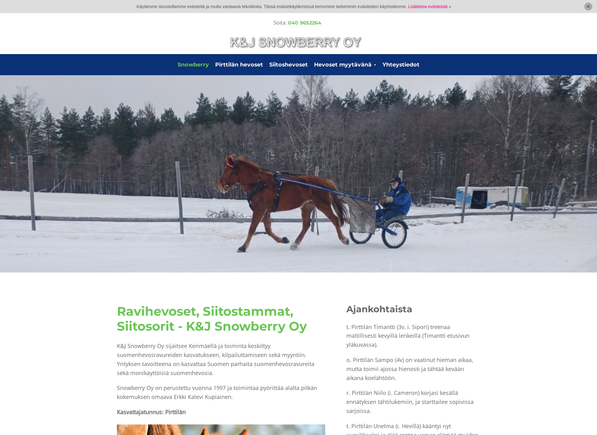 Skärmdump för snowberry.fi