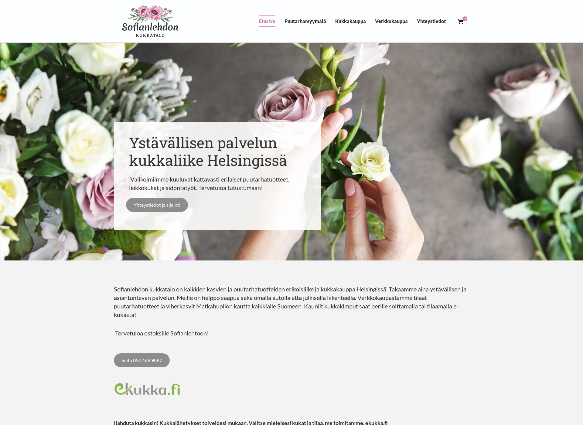 Skärmdump för sofianlehto.fi