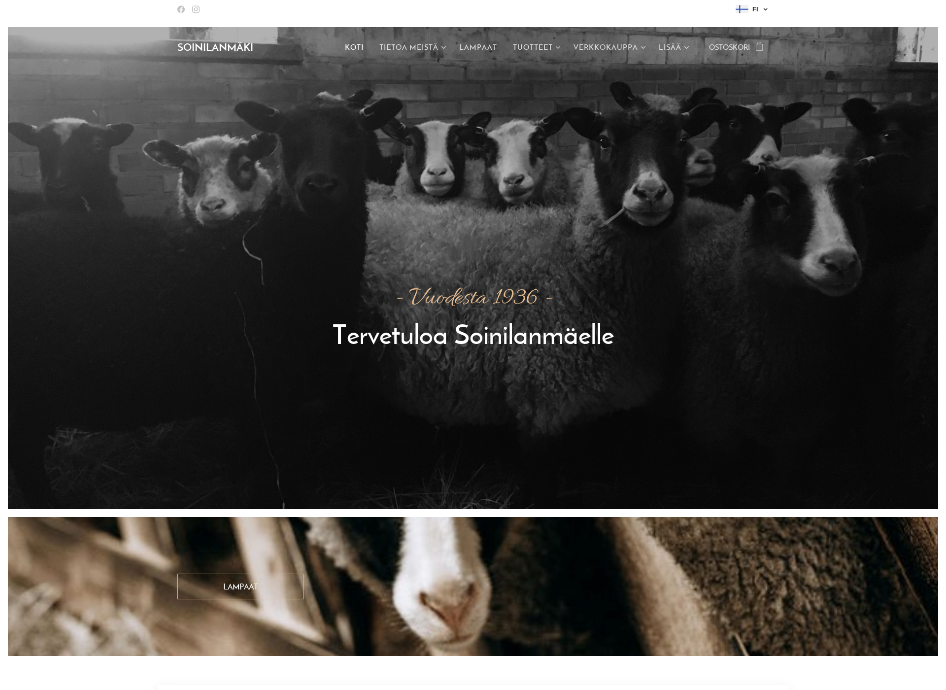 Screenshot for soinilanmaki.fi