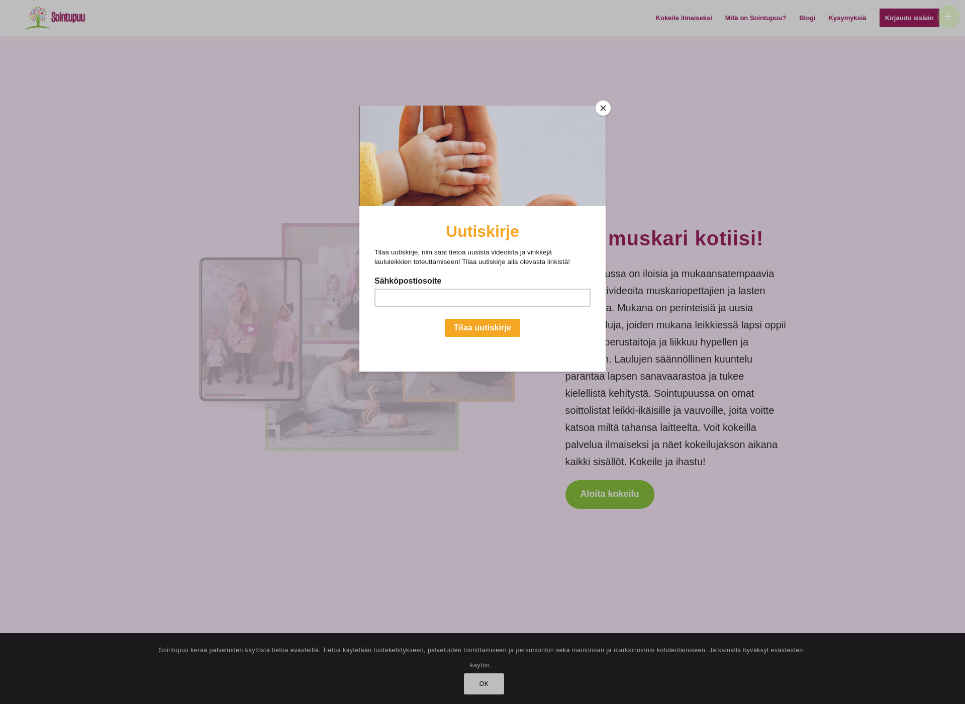 Screenshot for sointupuu.fi