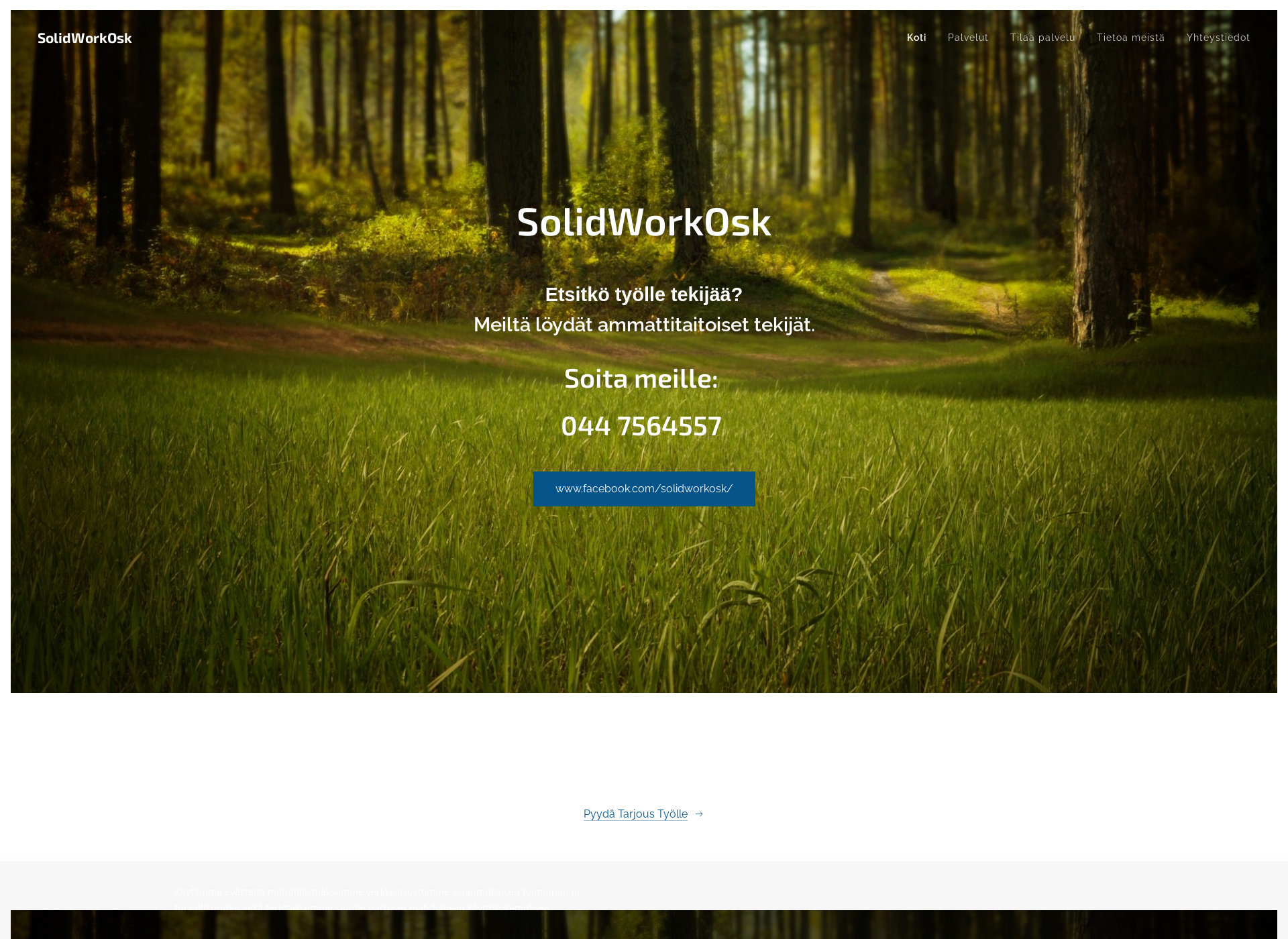 Screenshot for solidworkosk.fi