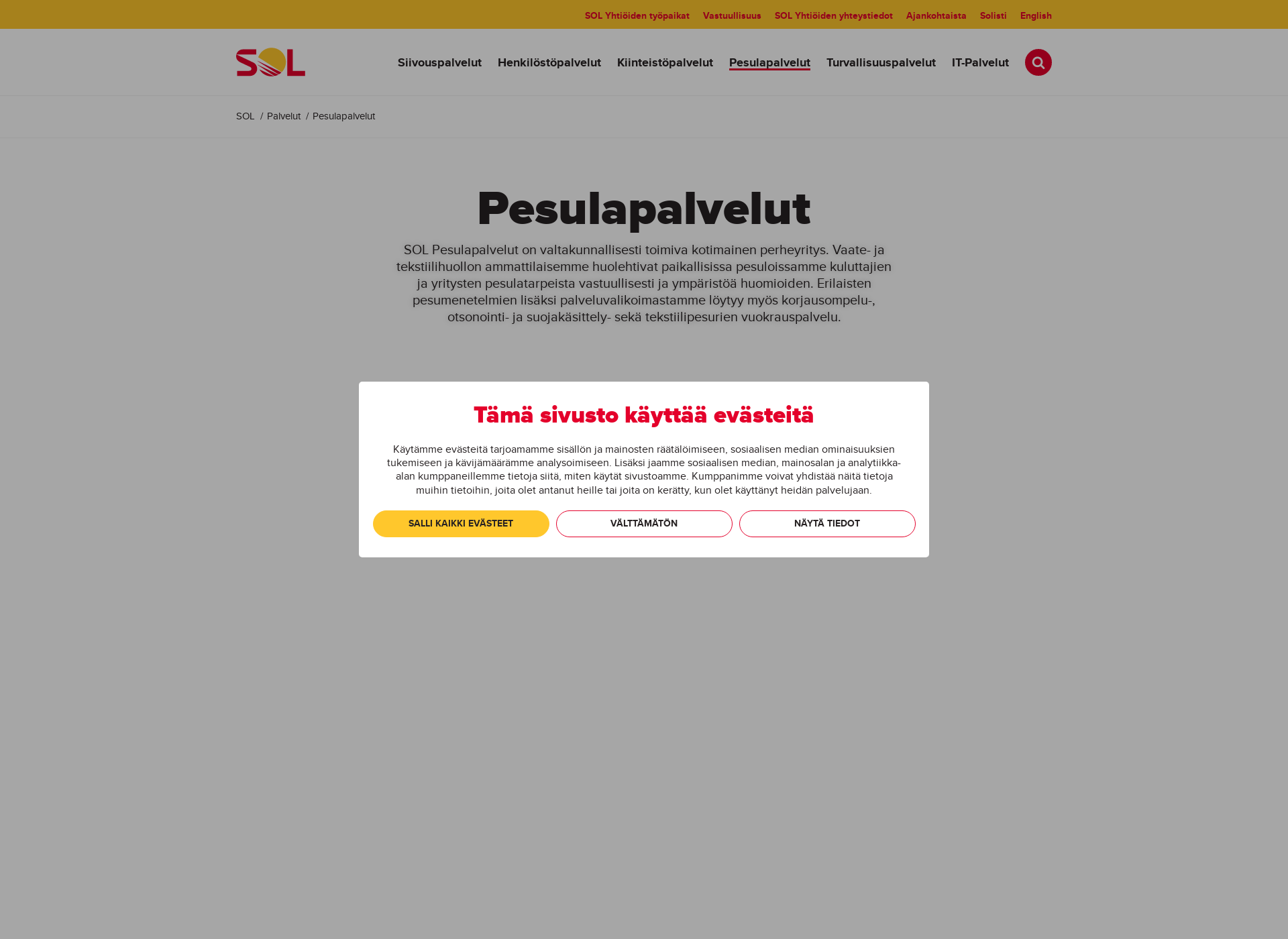 Skärmdump för solpesula.fi