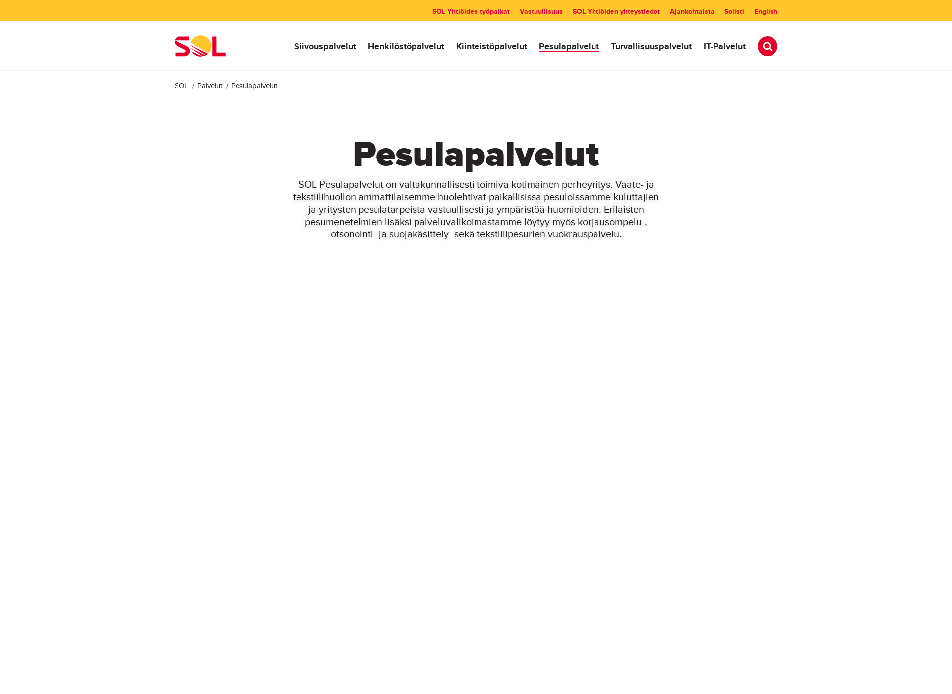 Skärmdump för solpesulapalvelut.fi