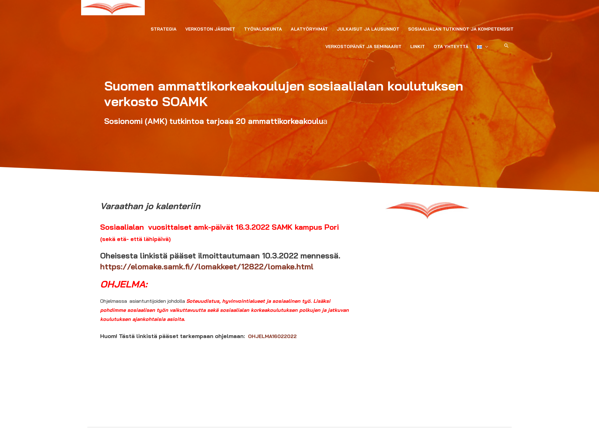 Skärmdump för sosiaalialanamkverkosto.fi