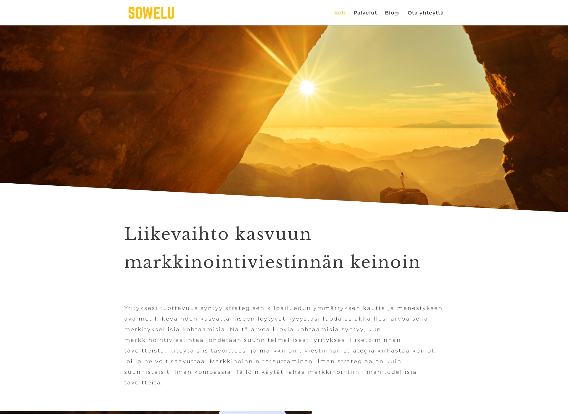 Screenshot for sowelu.fi
