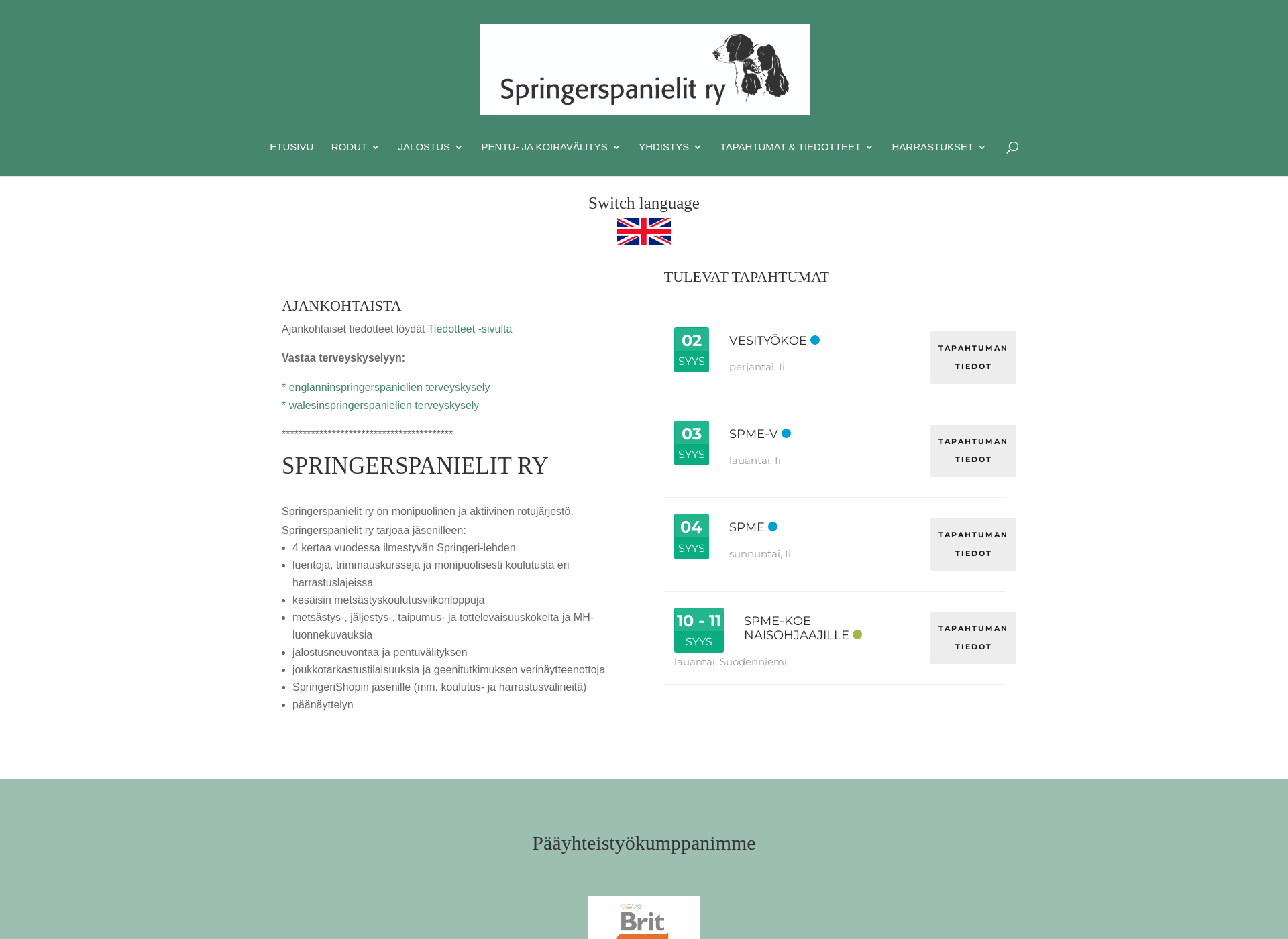 Screenshot for springerspanielit.fi