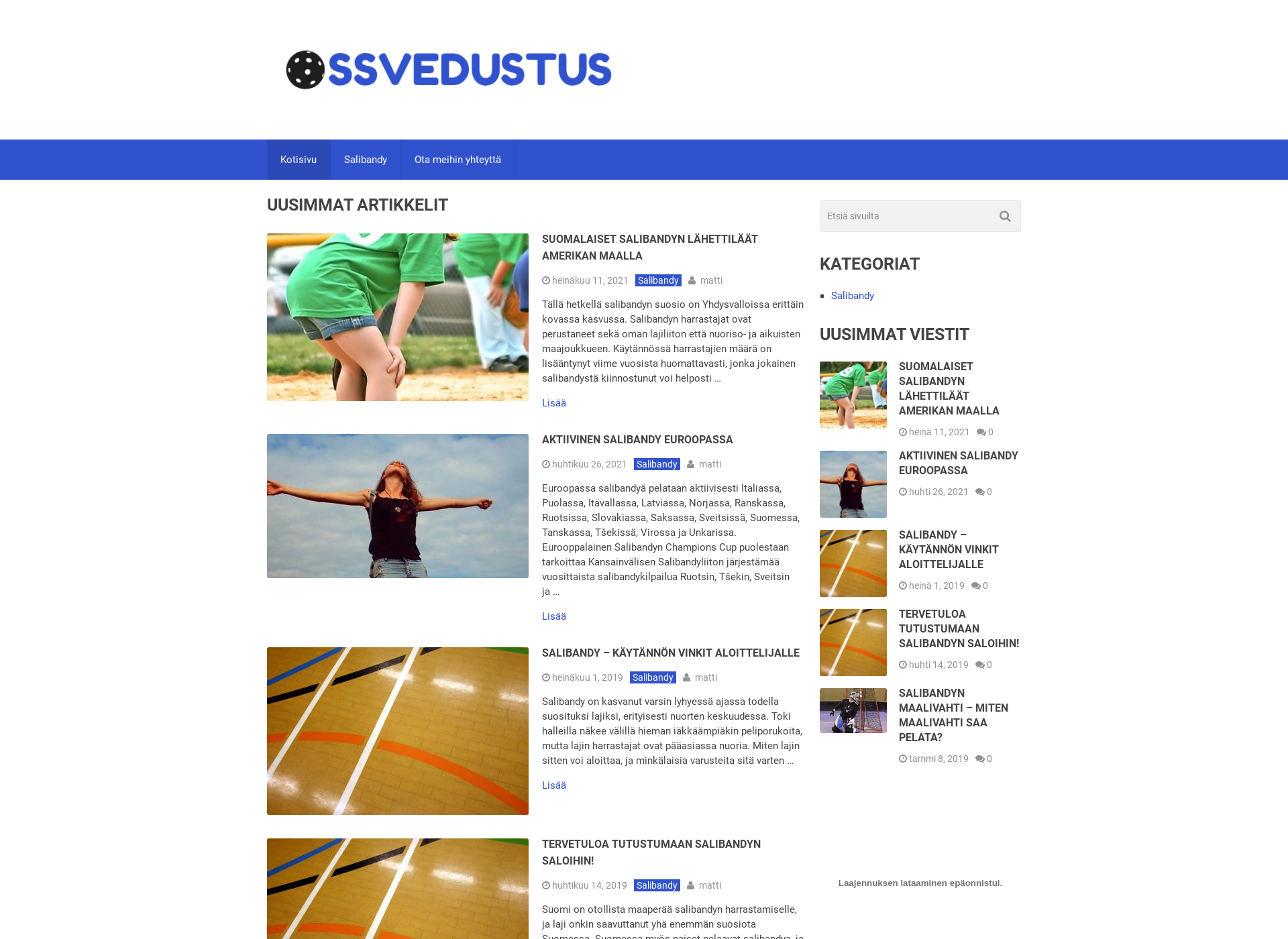 Screenshot for ssvedustus.fi