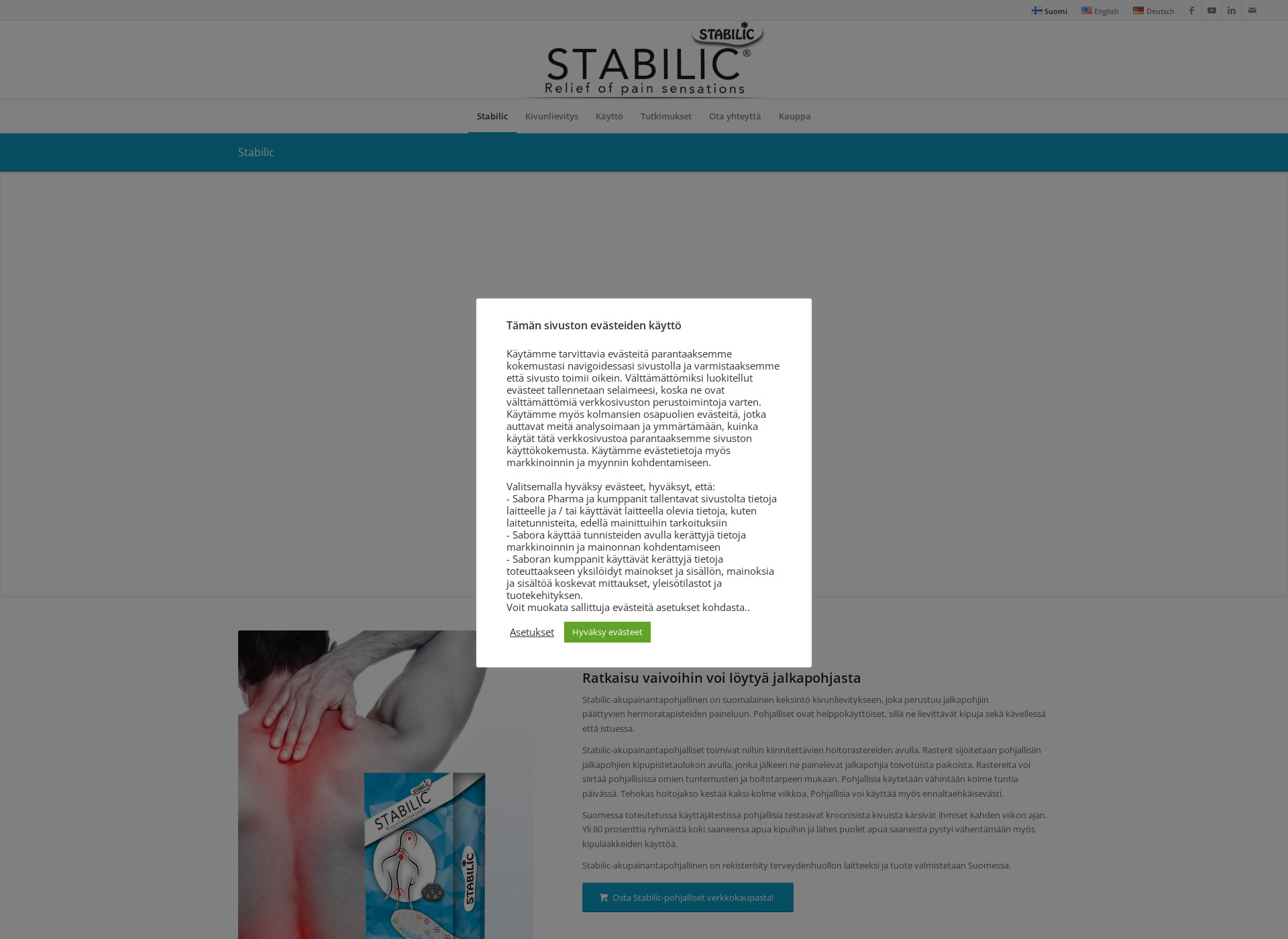 Skärmdump för stabilic.fi
