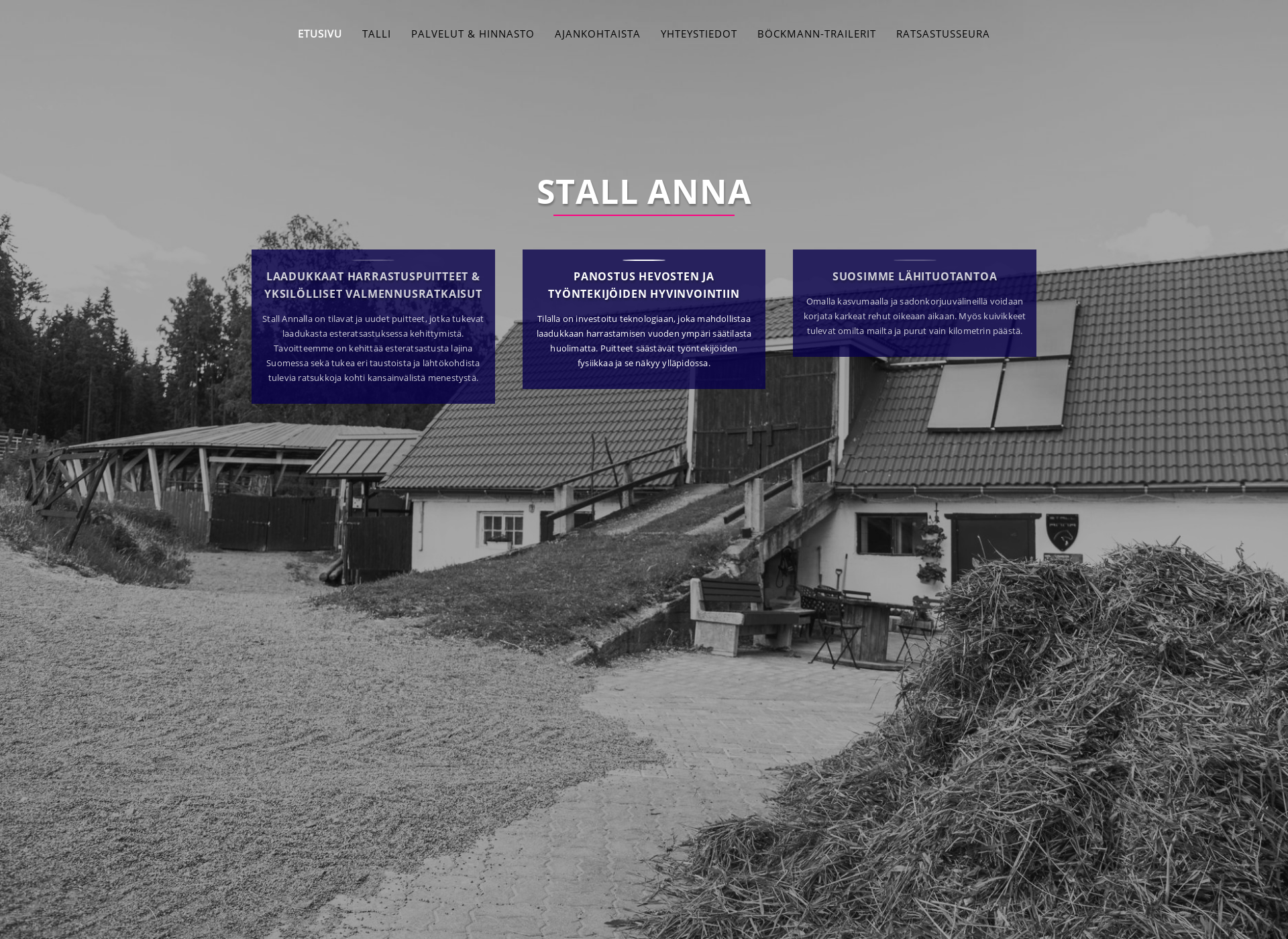 Screenshot for stallanna.fi