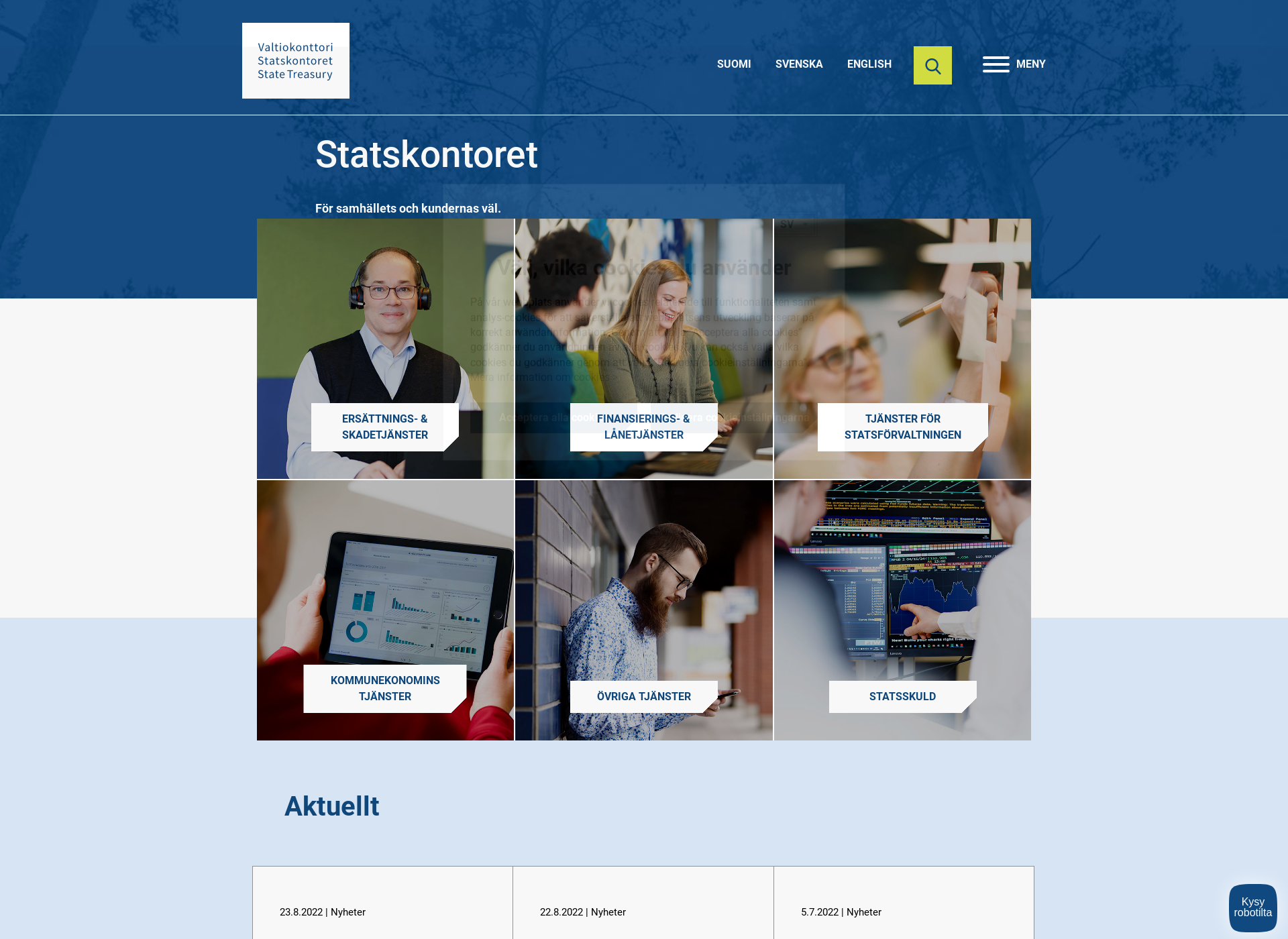 Screenshot for statskontoret.fi