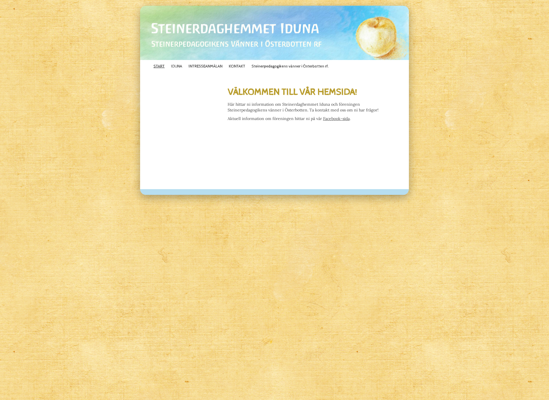 Skärmdump för steineriduna.fi