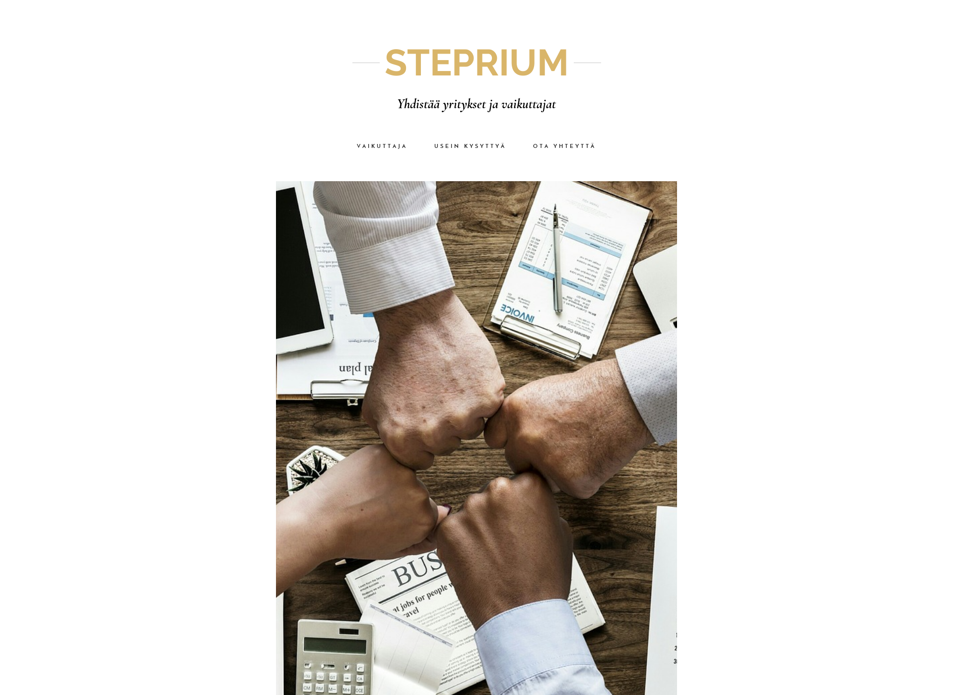 Screenshot for steprium.fi