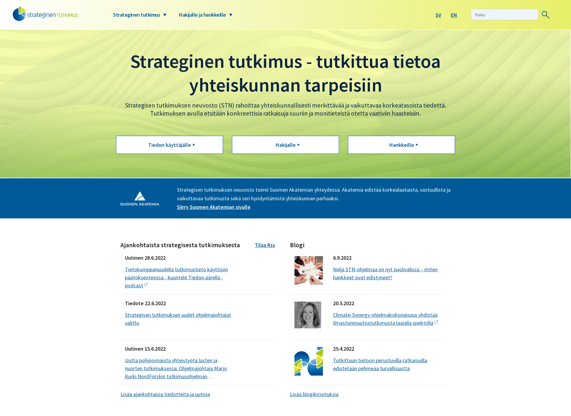 Skärmdump för strateginentutkimus.fi