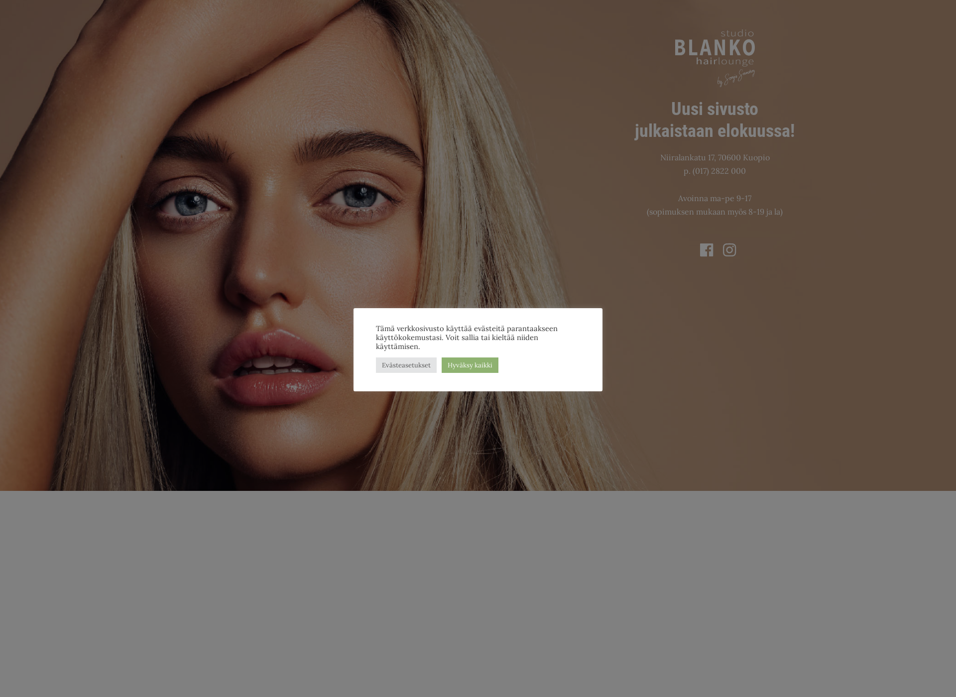 Screenshot for studioblanko.fi