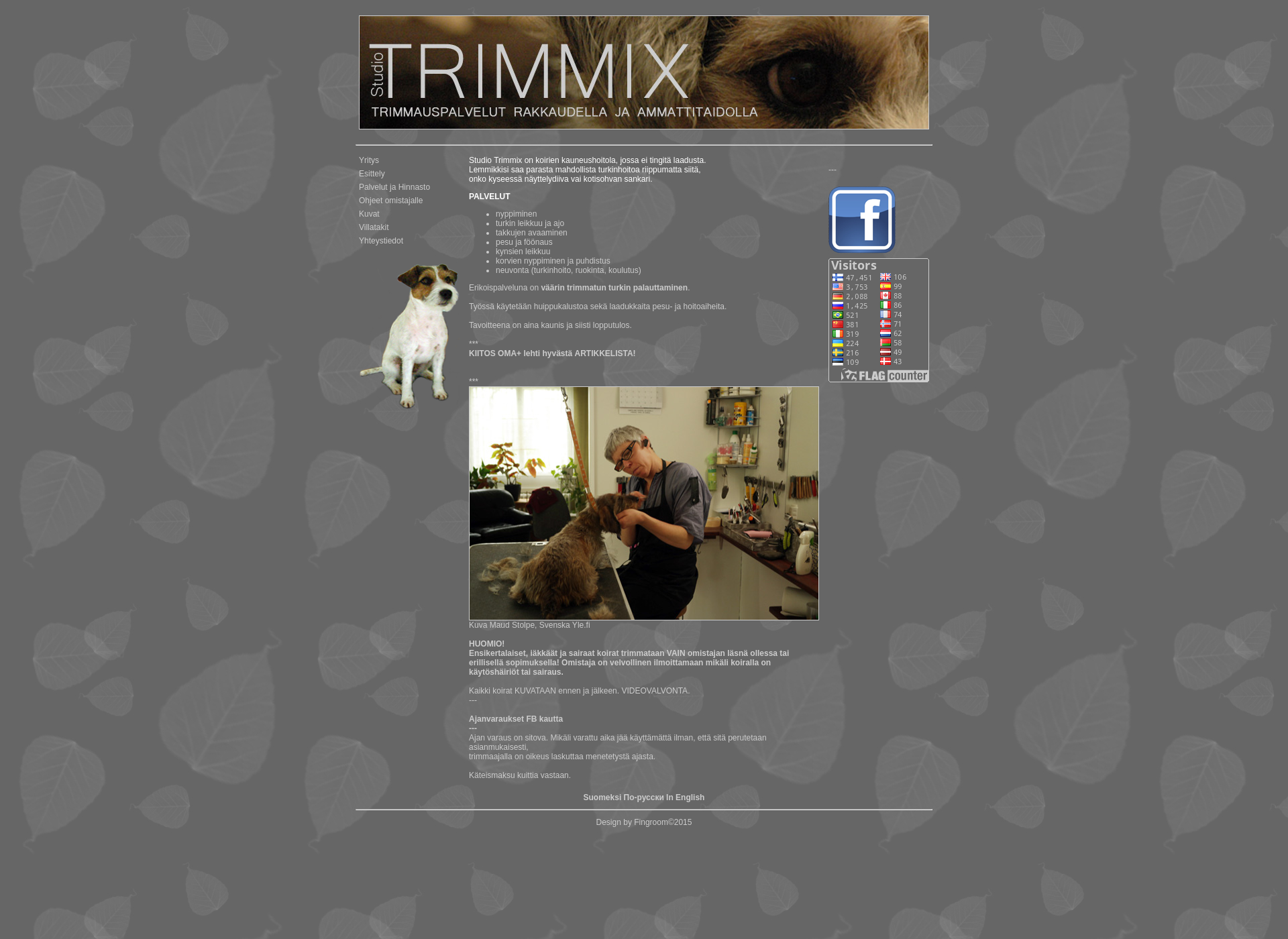 Screenshot for studiotrimmix.fi
