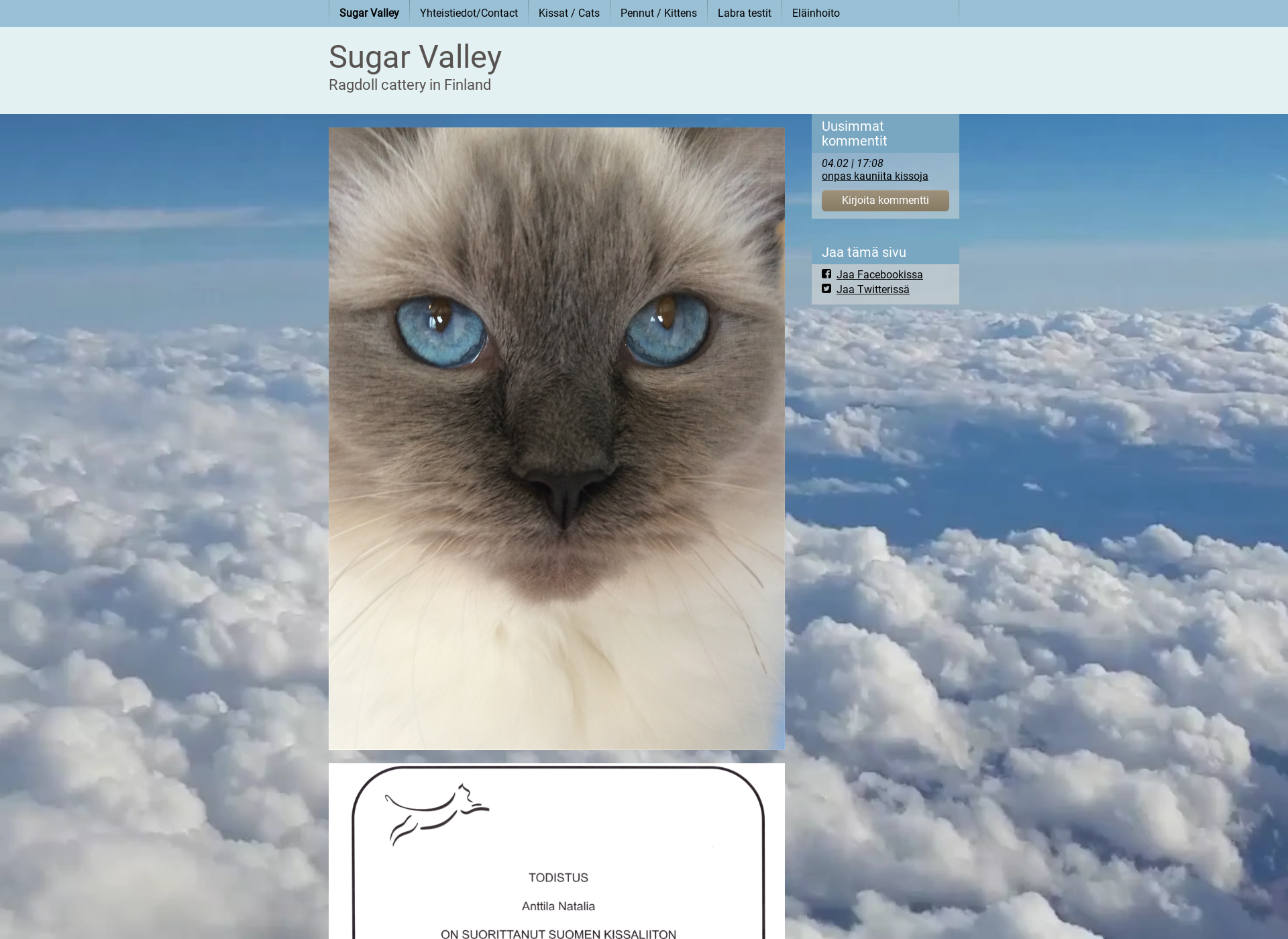 Screenshot for sugarvalley.fi