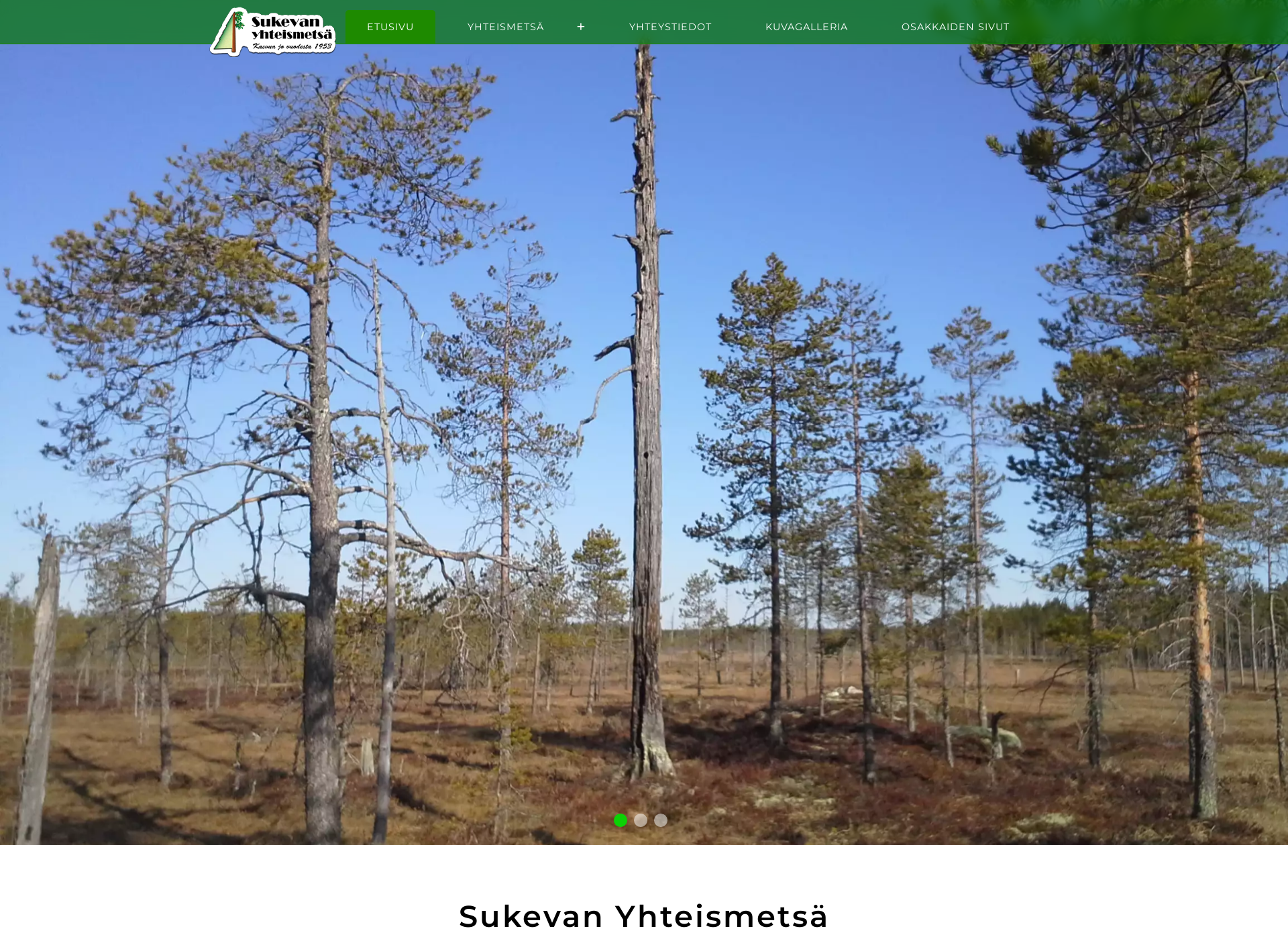 Skärmdump för sukevanyhteismetsa.fi