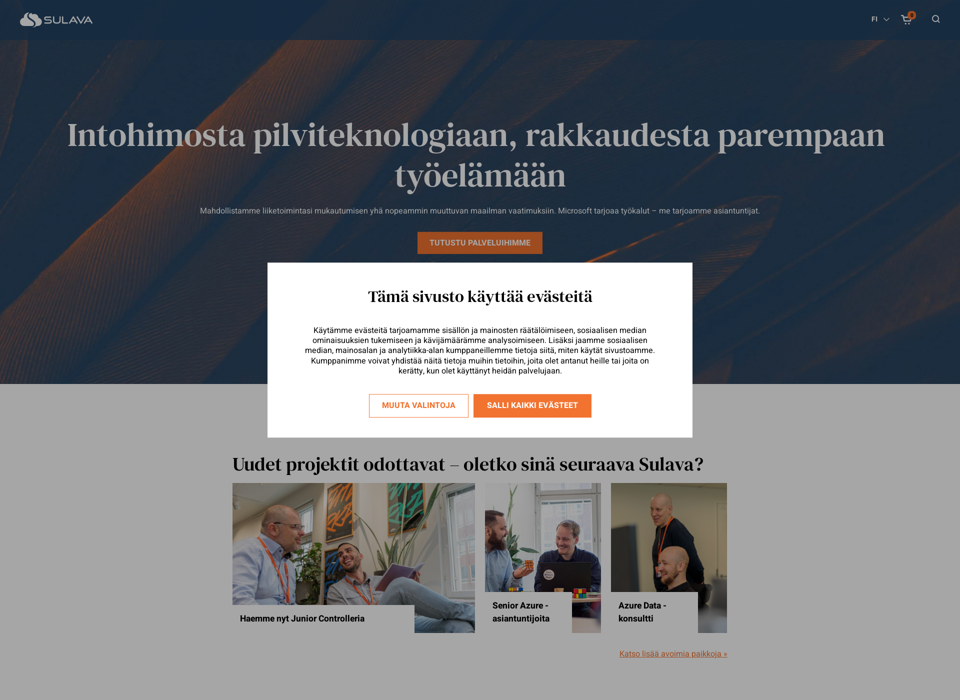 Skärmdump för sulava.fi