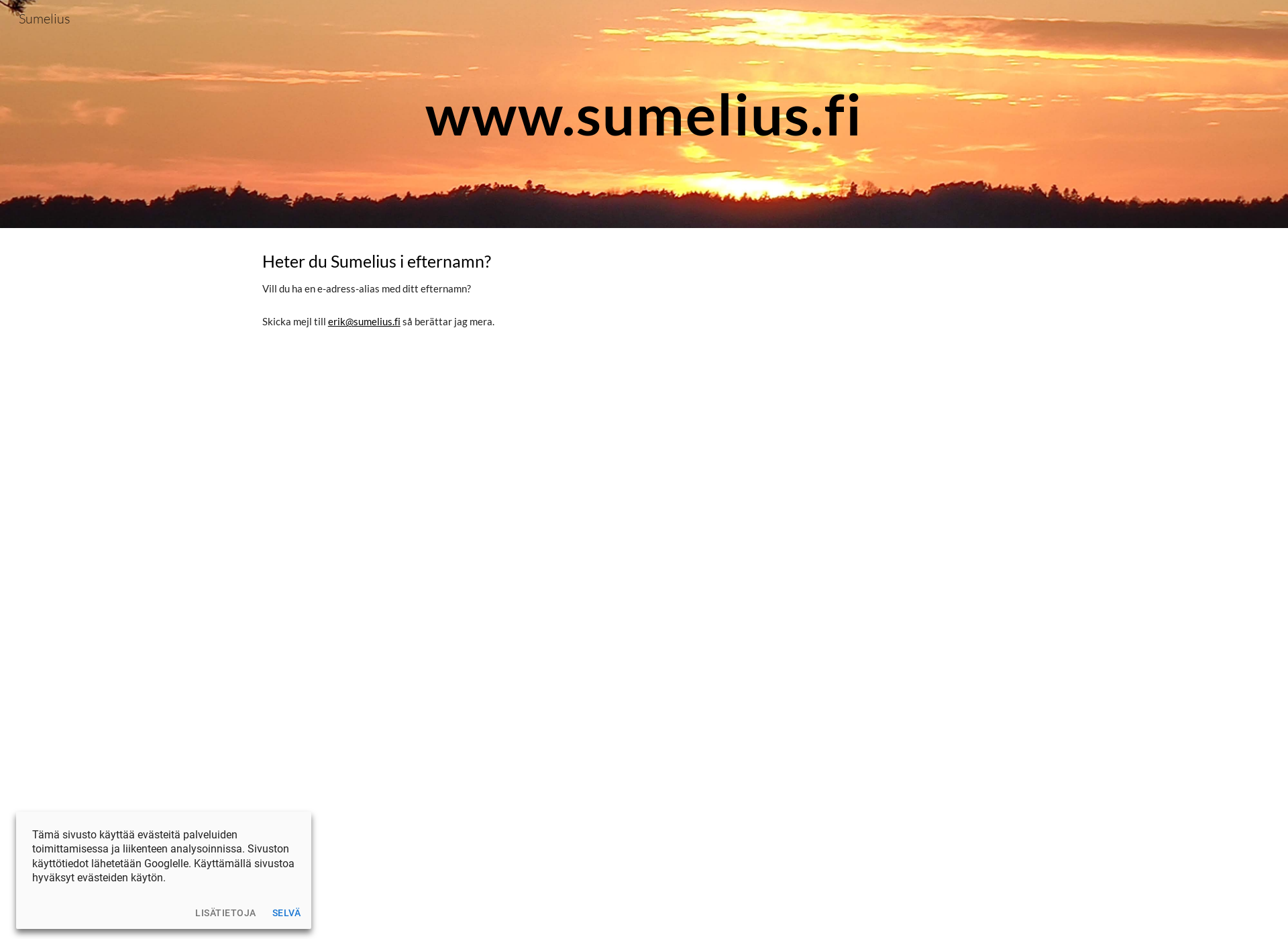 Skärmdump för sumelius.fi
