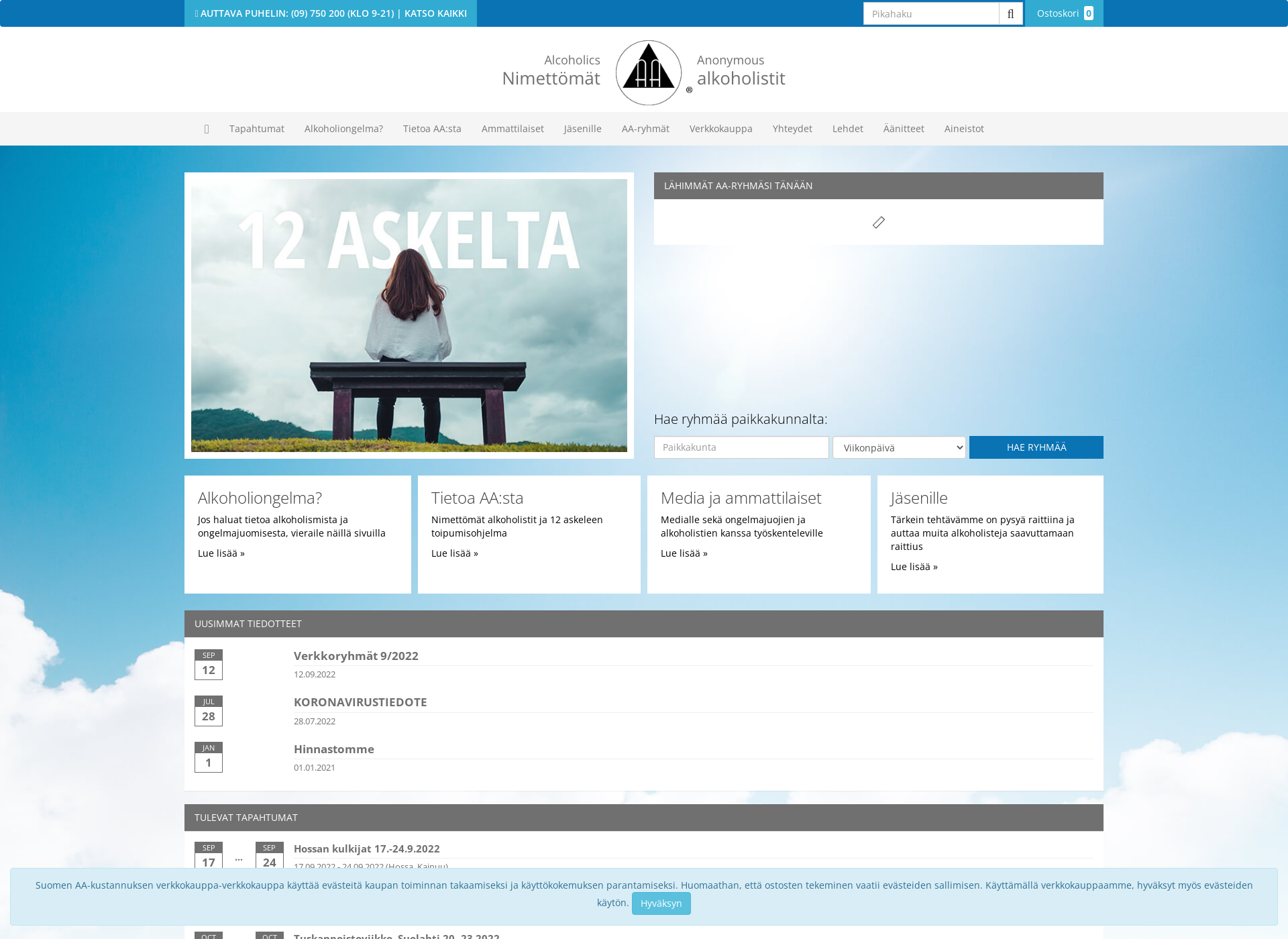 Screenshot for suomenaa.fi