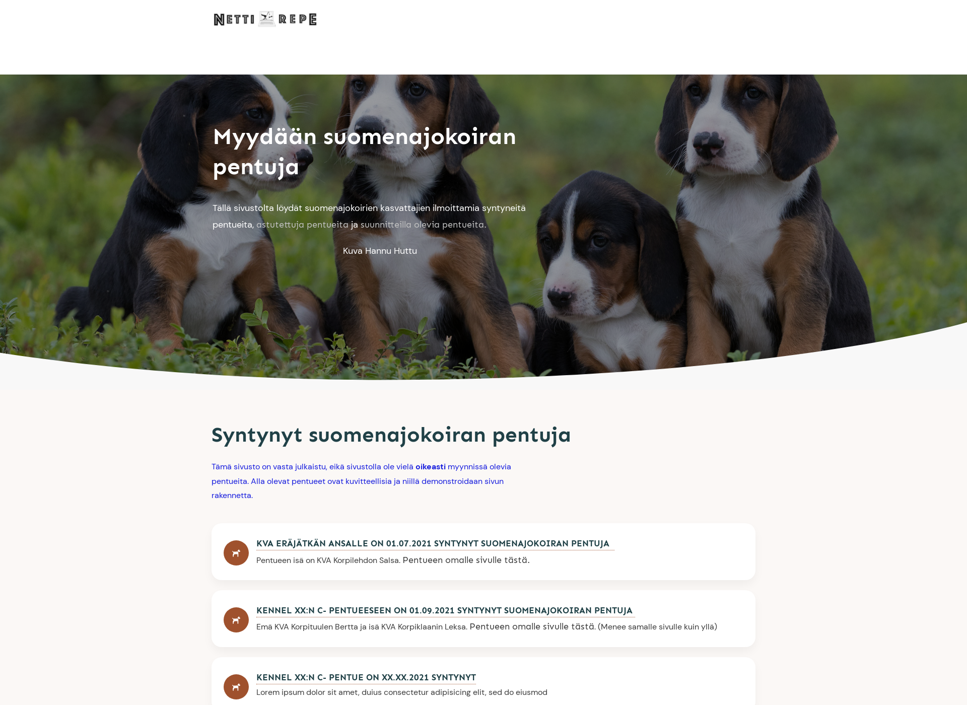 Screenshot for suomenajokoiranpentuja.fi