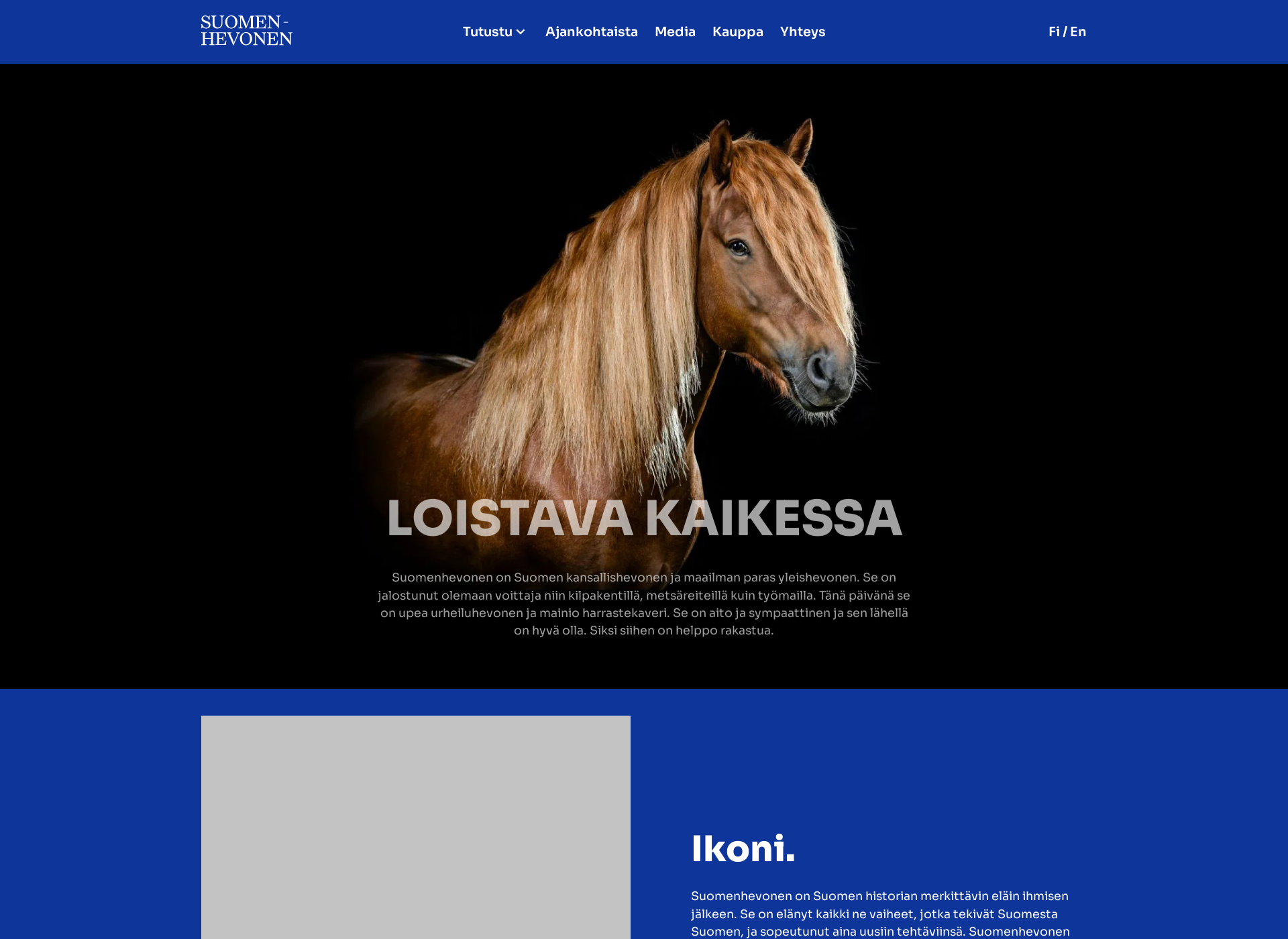 Screenshot for suomenhevonen.fi