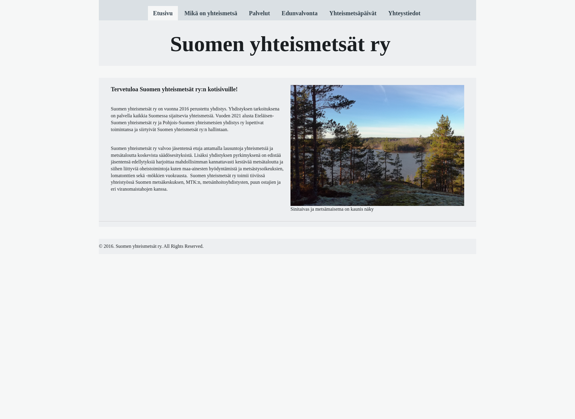 Screenshot for suomenyhteismetsat.fi