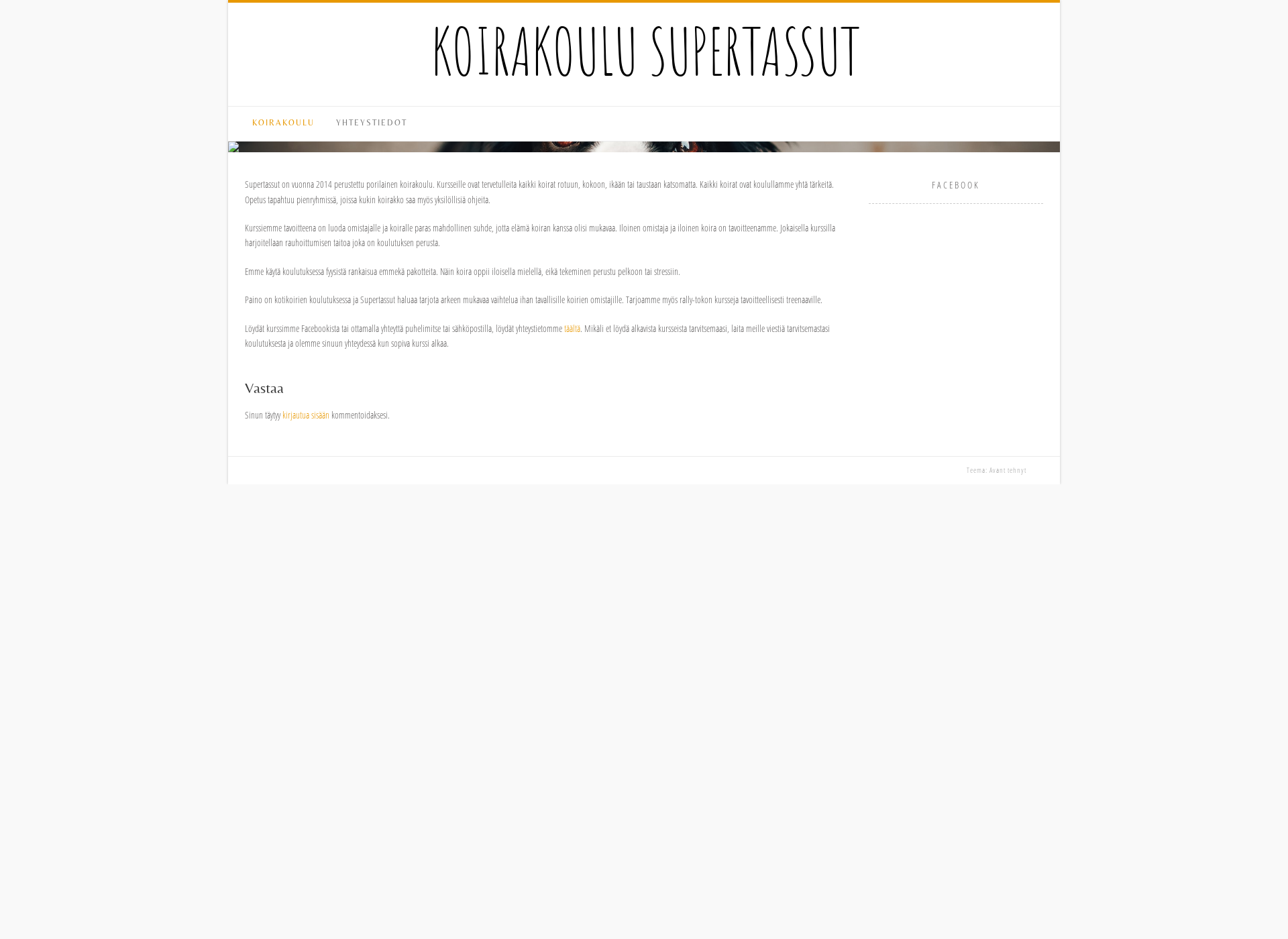 Skärmdump för supertassut.fi