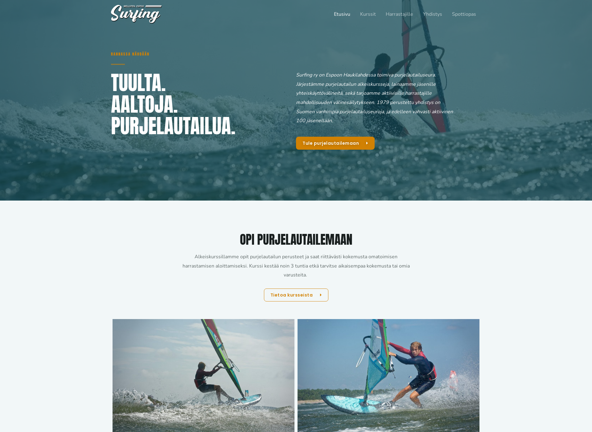 Skärmdump för surfing.fi