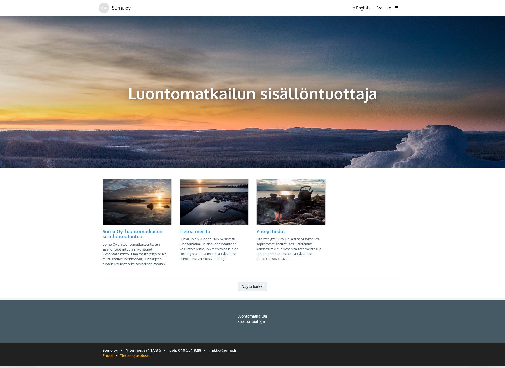 Screenshot for surnu.fi