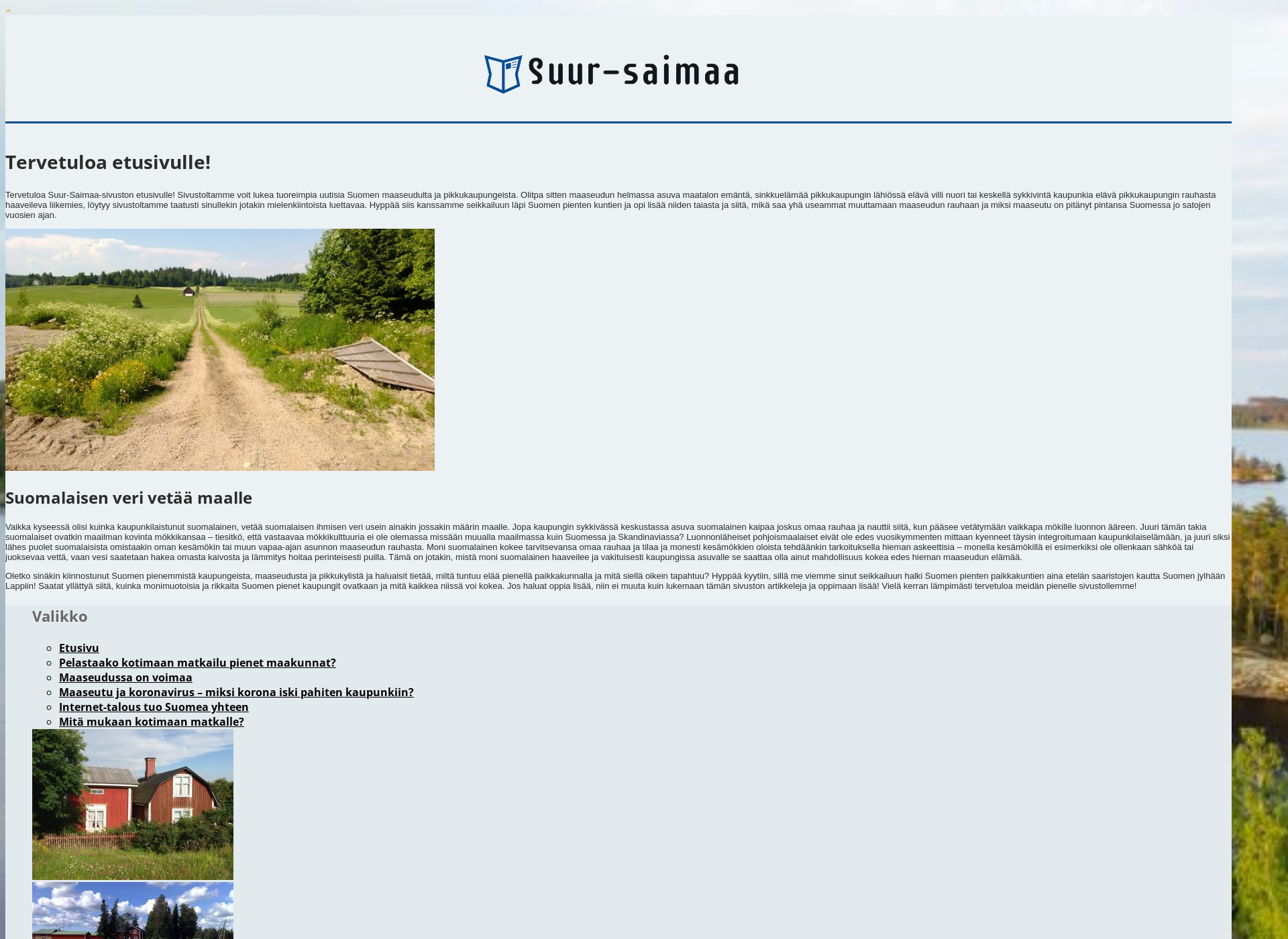 Screenshot for suur-saimaa.fi