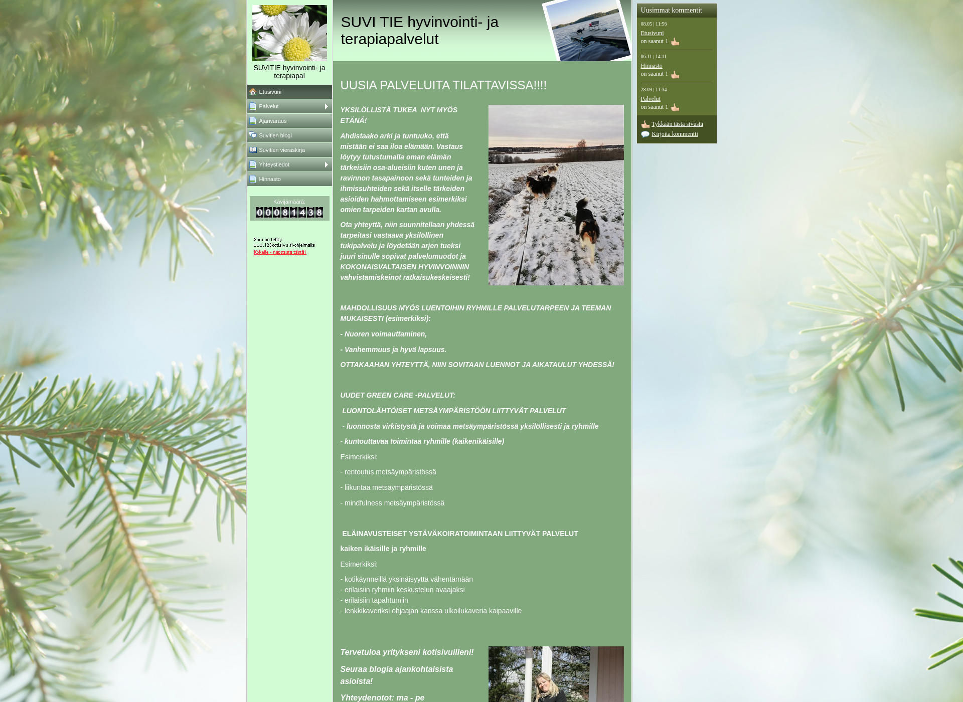 Screenshot for suvitie-hyvinvointipalvelut.fi