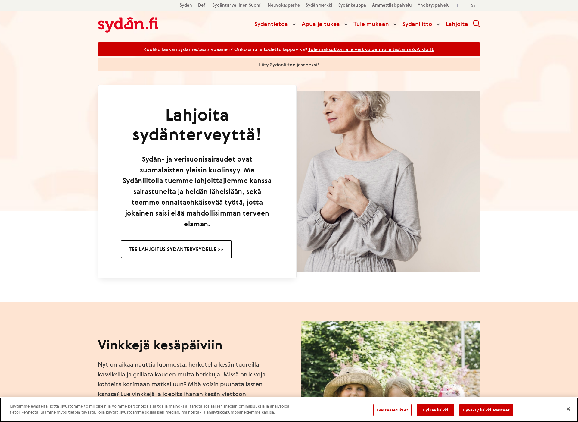 Skärmdump för sydan.fi