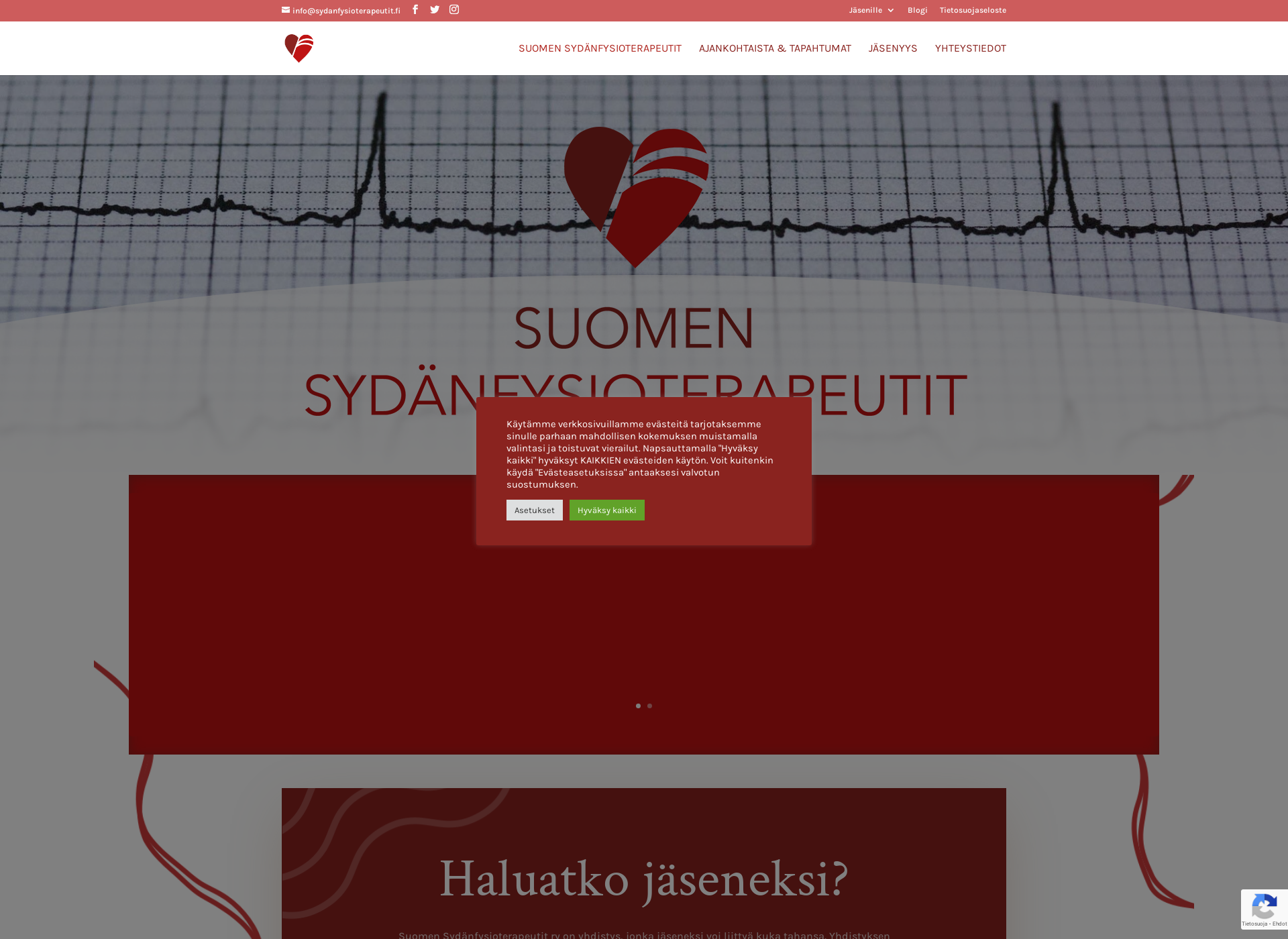Skärmdump för sydanfysioterapeutit.fi