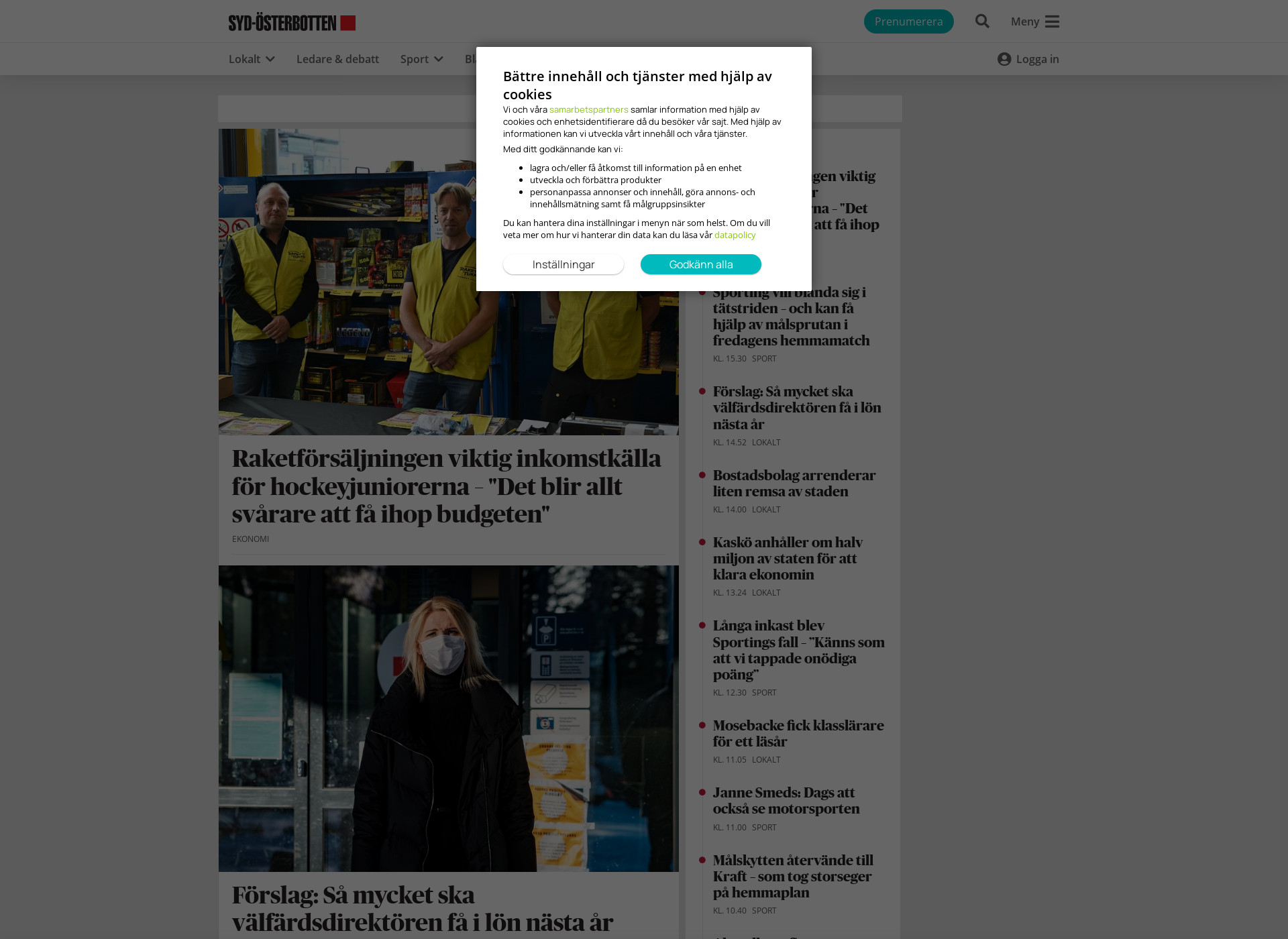 Screenshot for sydin.fi