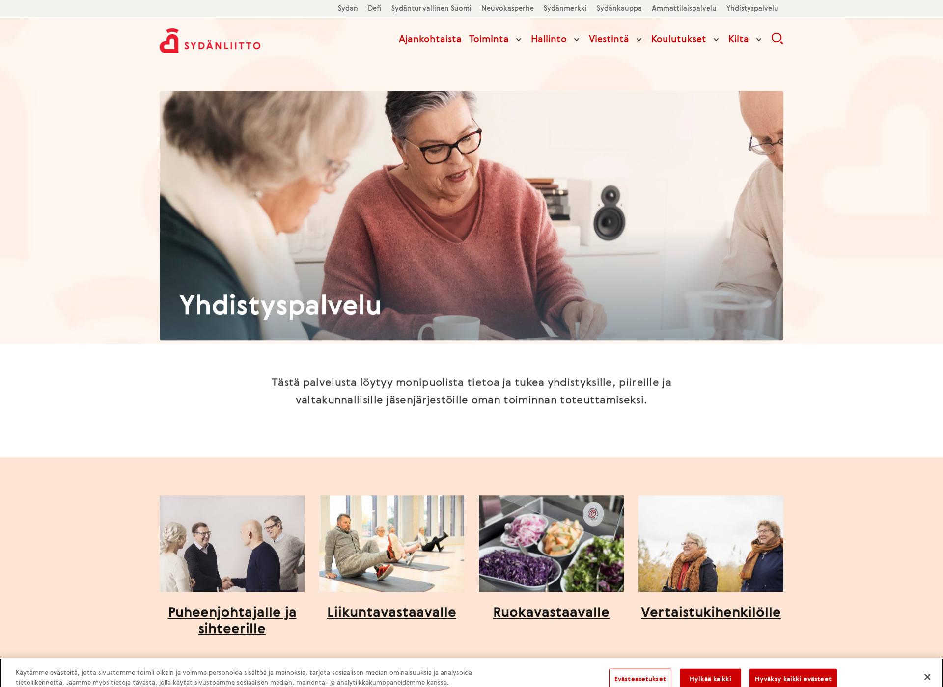 Skärmdump för sydänyhdistys.fi