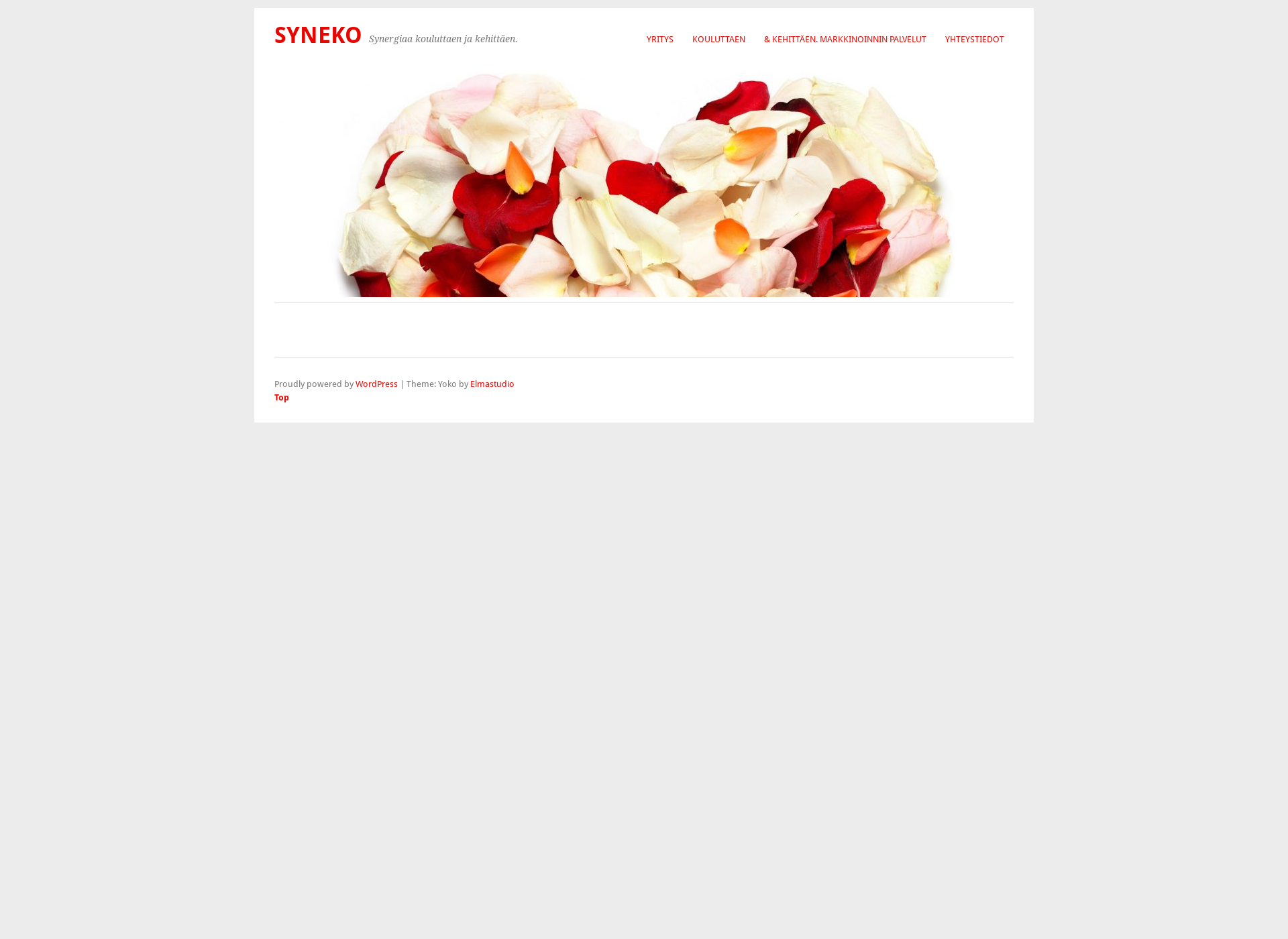 Screenshot for syneko.fi
