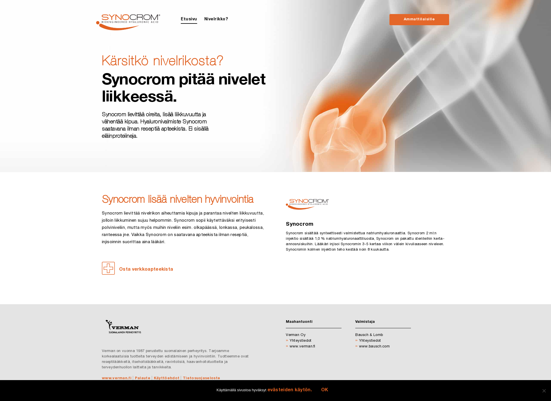 Skärmdump för synochrom.fi