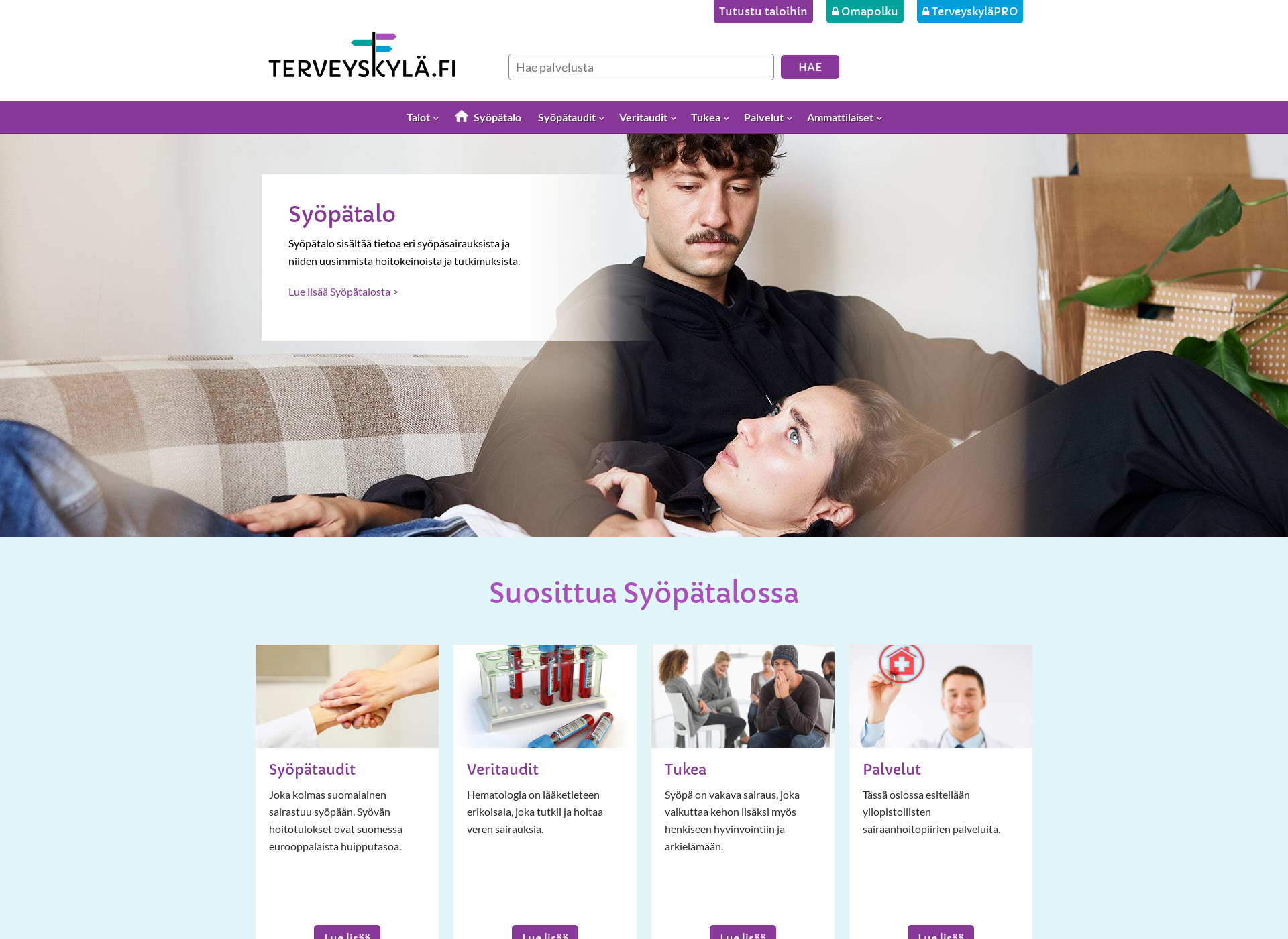 Screenshot for syopatalo.fi