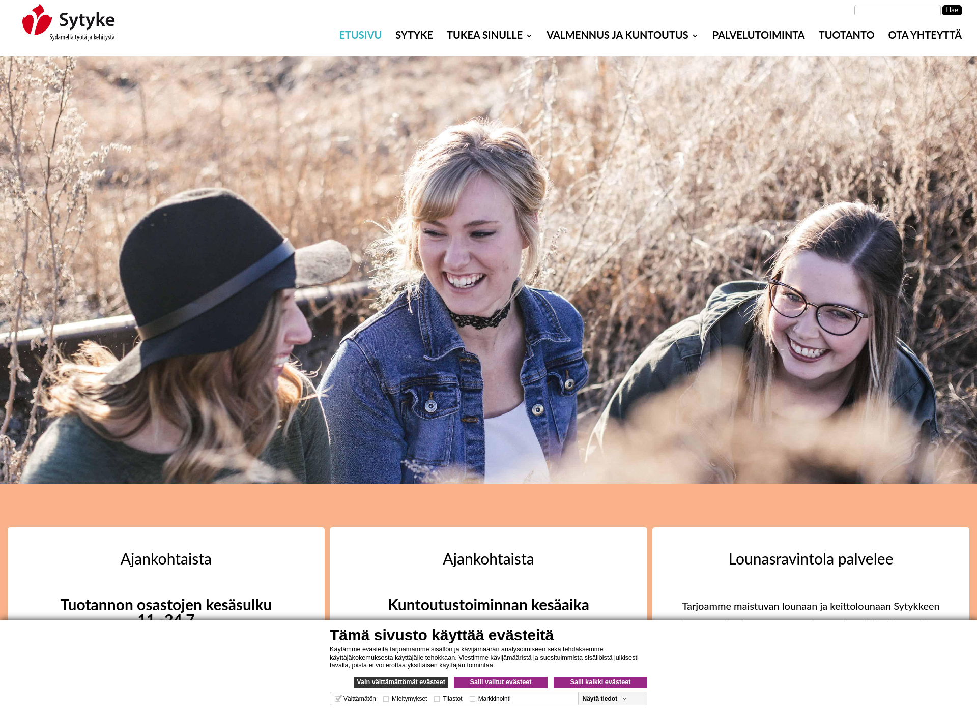 Screenshot for sytyke.fi