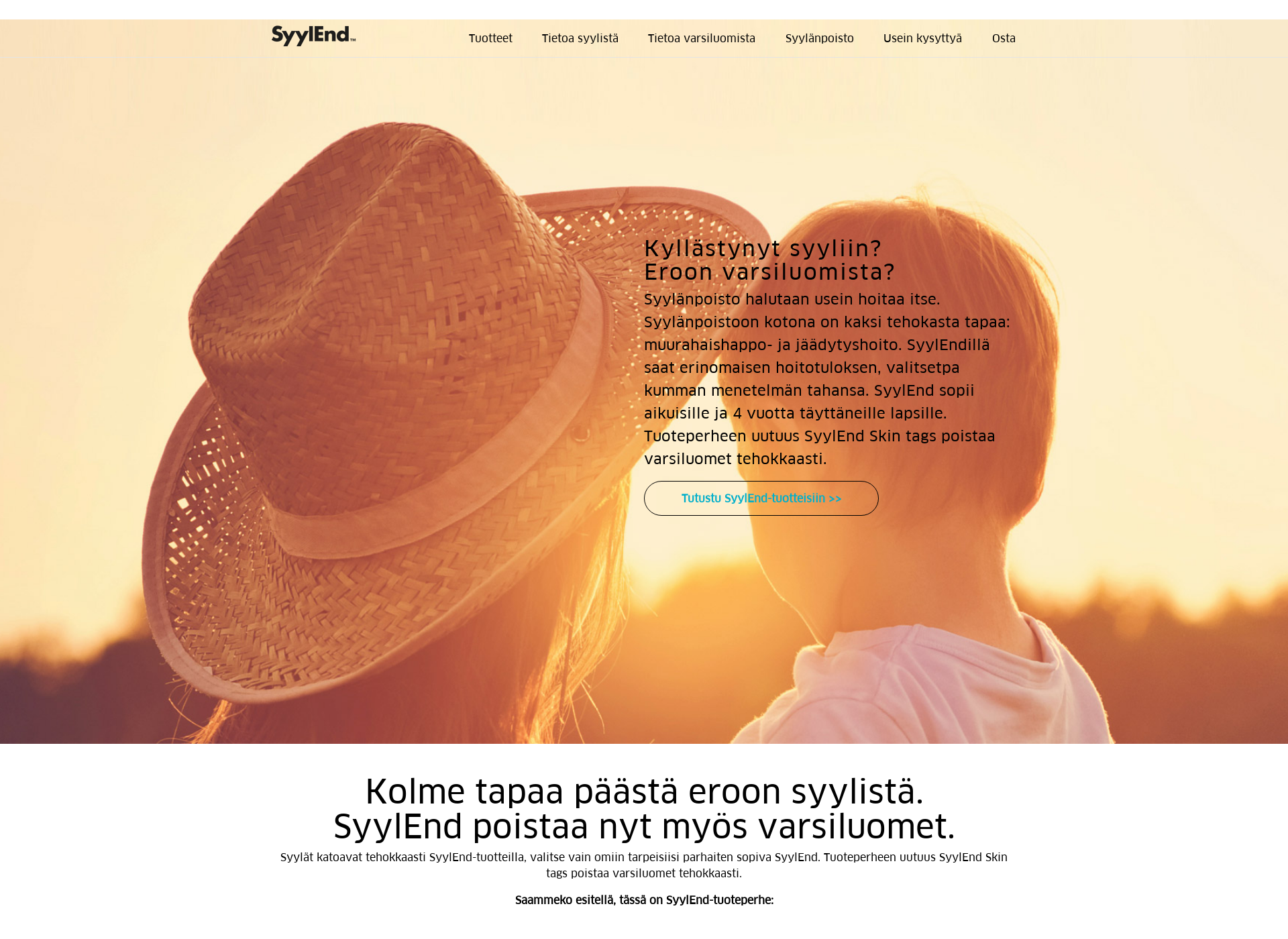 Screenshot for syylend.fi