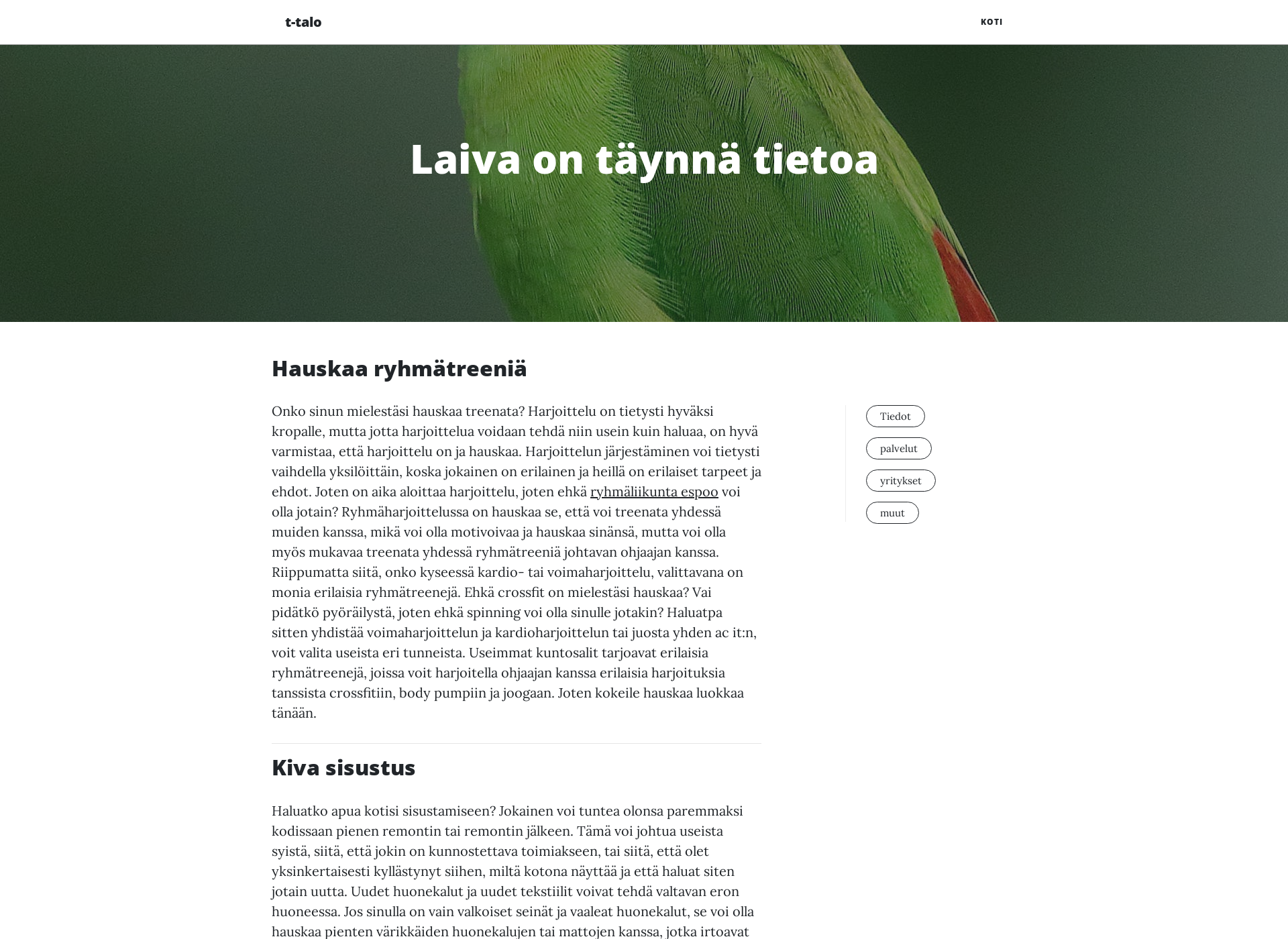 Skärmdump för t-talo.fi
